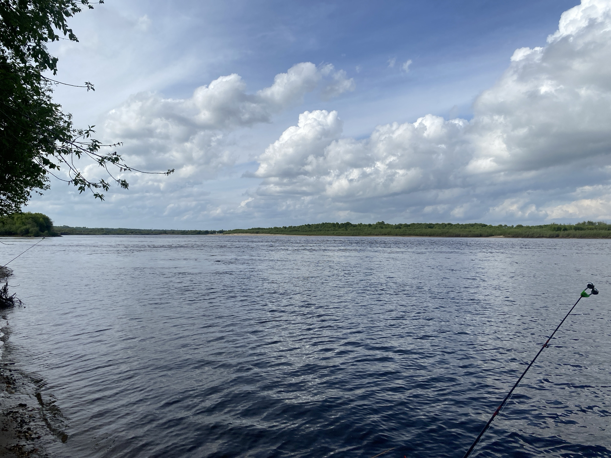 The image depicts a wide river under a cloudy sky. Green trees line the distant banks of the river. A fishing rod is visible on the right side of the image, angled towards the water. Branches from trees on the left side of the image extend into the frame. The location is Unknown, Unknown.