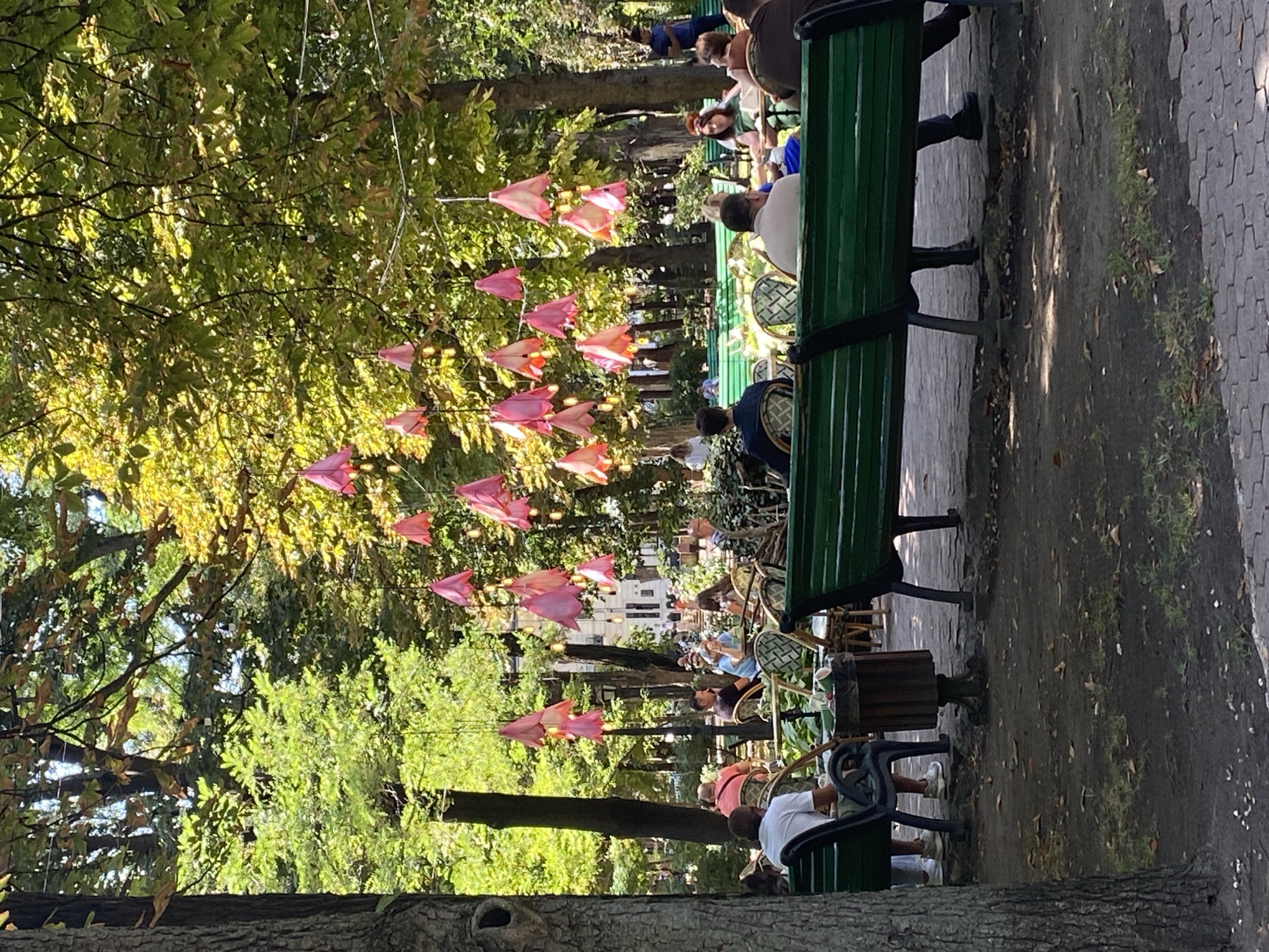 The image depicts an outdoor seating area of a cafe or restaurant, likely located in Chișinău, Moldova, given the context. The scene is set in a park or garden with lush green trees providing shade overhead. Several people are seated at tables, some facing away from the camera, engaged in conversation or enjoying their surroundings. The tables and chairs appear to be made of wicker or rattan, with a checkered pattern on some of the chairs. Hanging from the branches above are decorative pink, bell-shaped ornaments, interspersed with string lights. In the foreground, a dark green bench runs along the bottom of the frame, with a trash can positioned nearby. The ground is a mix of dirt and paving stones. The atmosphere suggests a relaxed, outdoor dining experience during daylight hours.