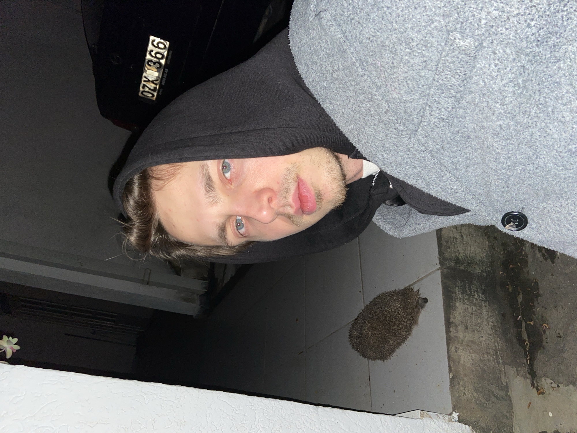 A man with blue eyes and a black hoodie poses for a selfie with a hedgehog on a tiled floor. The location appears to be outdoors, near a building. A license plate "0ZK 366" is visible in the background, possibly belonging to a vehicle. The environment is dimly lit. The photograph was taken in Šušanj, Montenegro.