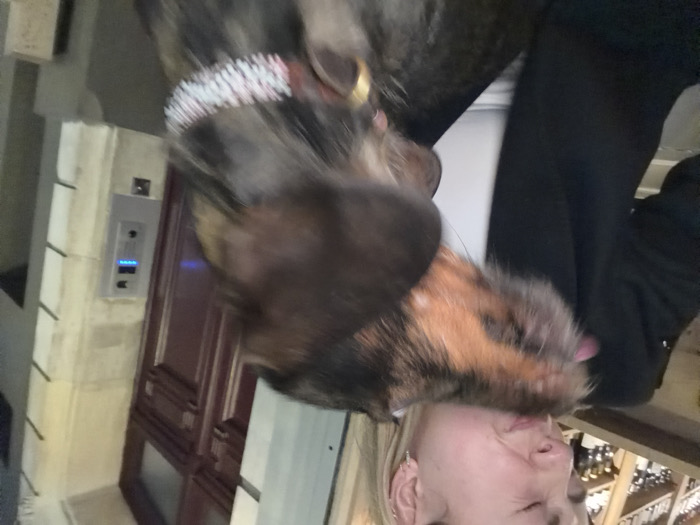 A close-up, slightly motion-blurred image captures an interaction between a person and a dog within an indoor or entrance setting. A blonde female, partially visible on the left, with eyes closed and head tilted back, wears a dark blazer over a white top. A brindle-coated dog, with its tongue extended, licks or nuzzles her face. The dog wears a collar with a white and pink/red patterned design and a gold-colored charm. In the background to the left, a wooden shelving unit displays multiple bottles. To the right, a dark brown, paneled double door is visible adjacent to a light-colored stone wall featuring a mounted modern intercom system with illuminated blue elements. The architectural style, including the stone masonry and door, is consistent with structures found in Paris, France.