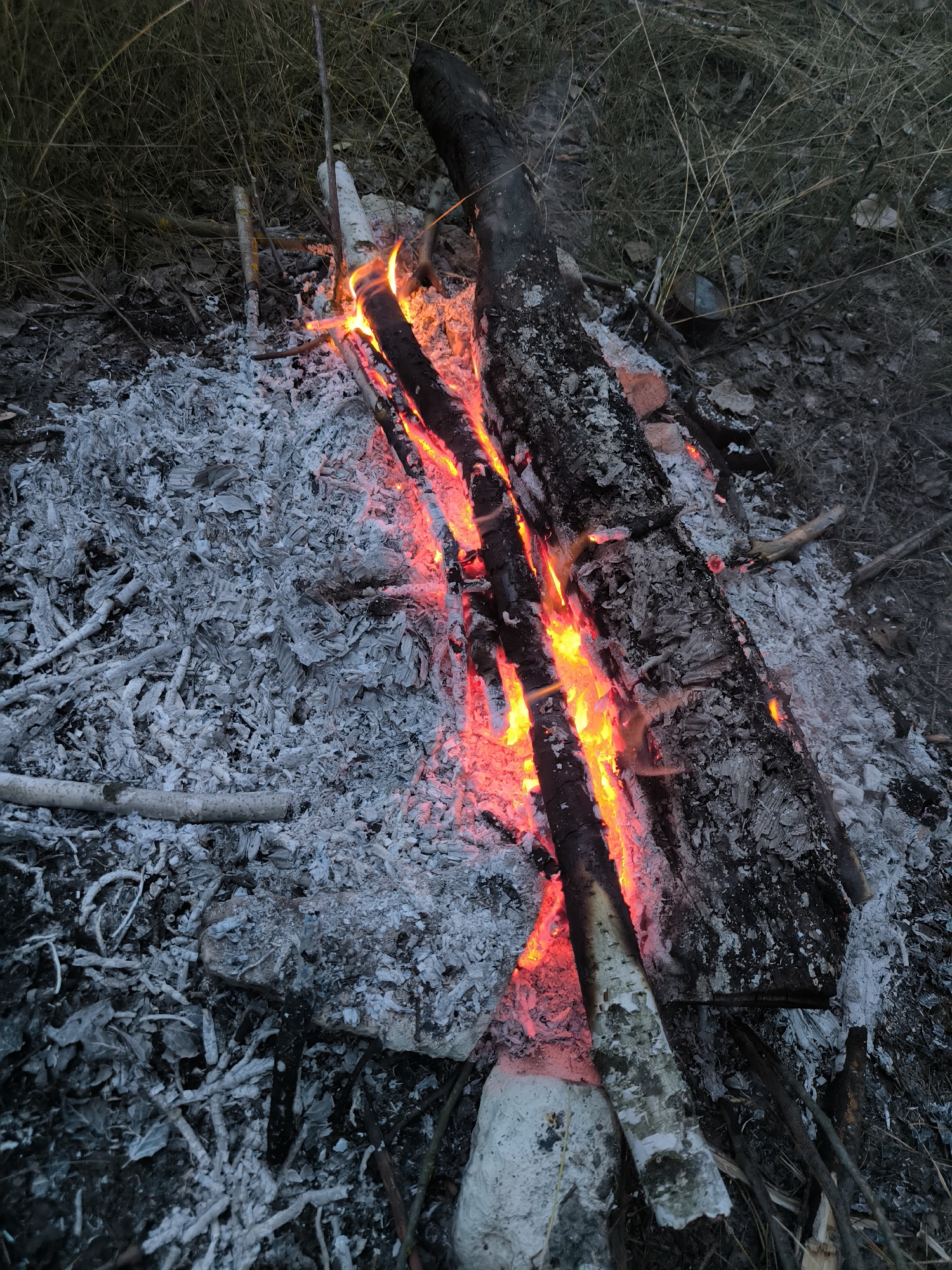 The image depicts a close-up, overhead view of a smoldering campfire. The fire itself is small, with glowing orange embers visible within the charred wood. Ash and burnt debris cover the ground around the fire, and dry grass and twigs are scattered throughout the scene. The overall impression is one of a recently extinguished or dying campfire in a natural outdoor setting. There are no people or any identifiable landmarks present in the image.