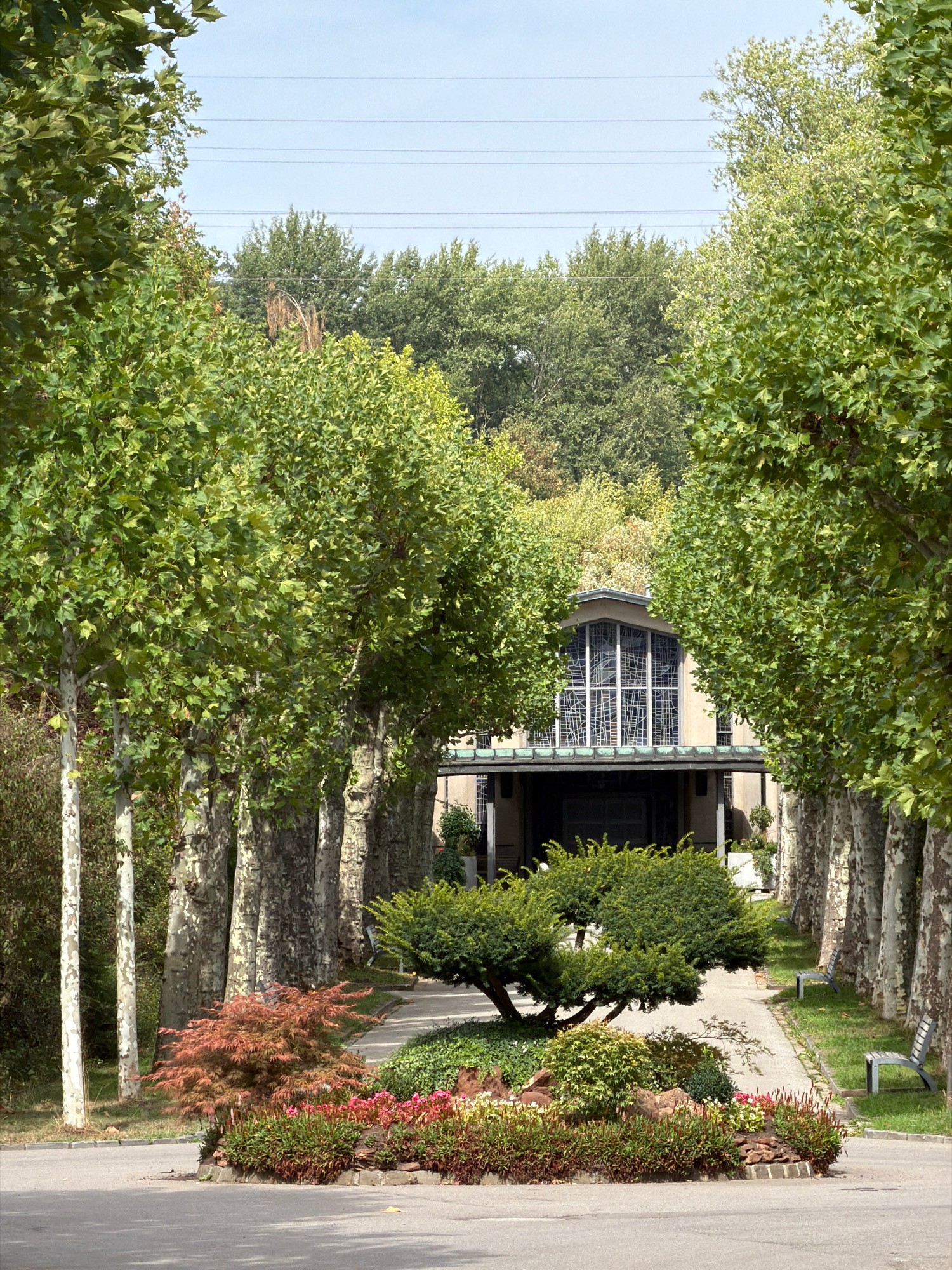 The image depicts a pathway leading to a building with a prominent stained-glass window, possibly a church or a public institution, located in Esch-sur-Alzette, Luxembourg. The pathway is lined with mature trees, likely plane trees, creating a canopy effect. In the foreground, there is a meticulously maintained garden area with a Japanese maple, various low-lying plants, and rocks. Two benches are visible on the right side of the pathway, suggesting a public space designed for rest. The overall scene is serene and well-kept, bathed in natural daylight under a clear sky with visible power lines overhead. There are no people or animals in the frame.