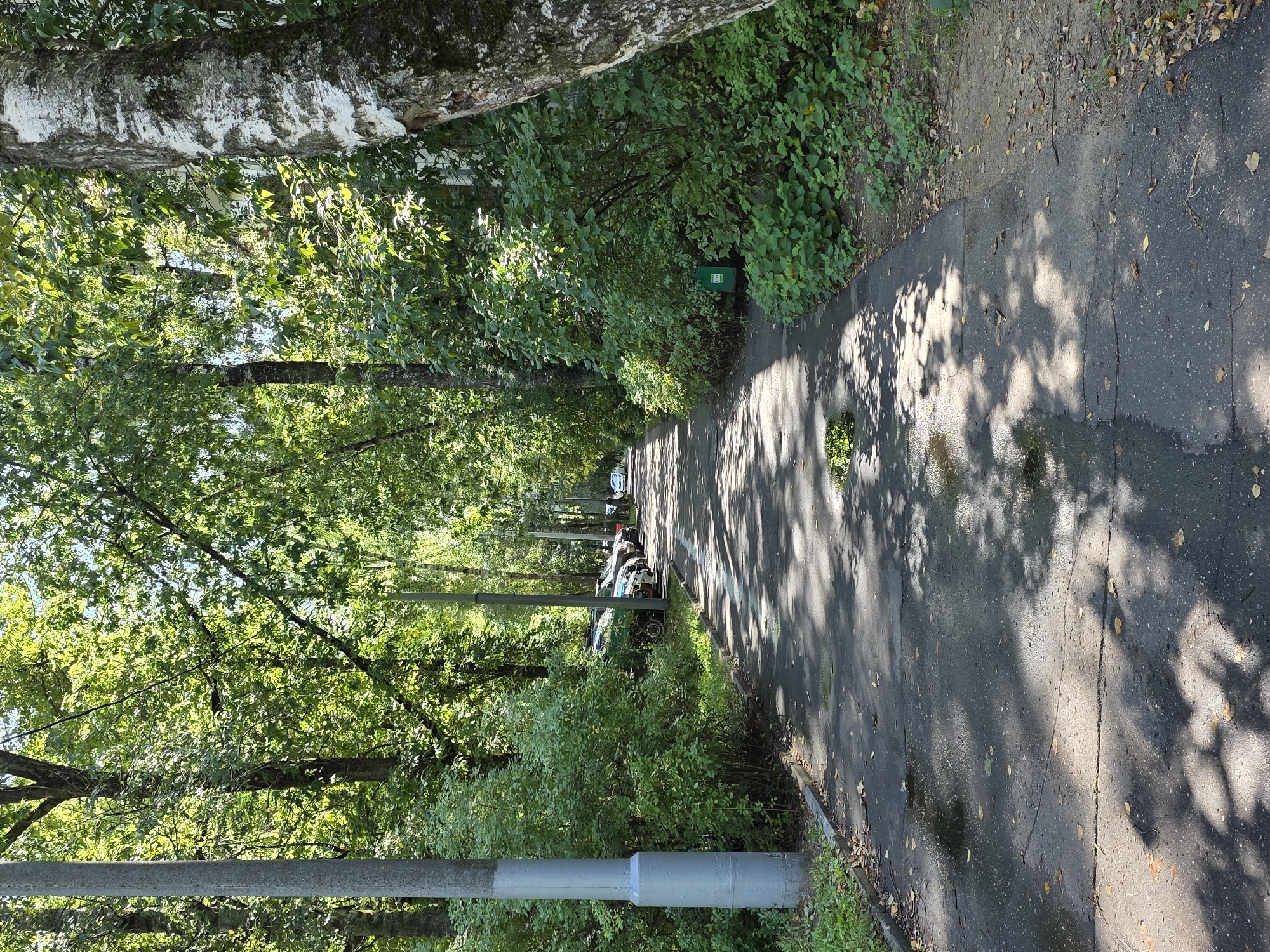 The image depicts a paved pathway lined by dense greenery and trees, suggesting a park or a residential area with significant landscaping. The pathway appears to be a walkway or a small road, with parked cars visible in the background to the left, indicating a populated urban environment. The presence of a lamppost on the left and a green trash bin on the right further confirms this. Sunlight filters through the canopy of leaves, casting dappled shadows on the path, indicating a sunny day. The foliage is lush and green, typical of a temperate climate during warmer months. The overall impression is a serene, well-maintained outdoor space within a city. Based on the architecture of the parked cars and the style of the urban infrastructure, such as the lamppost, the location can be identified as Moscow, Russia.