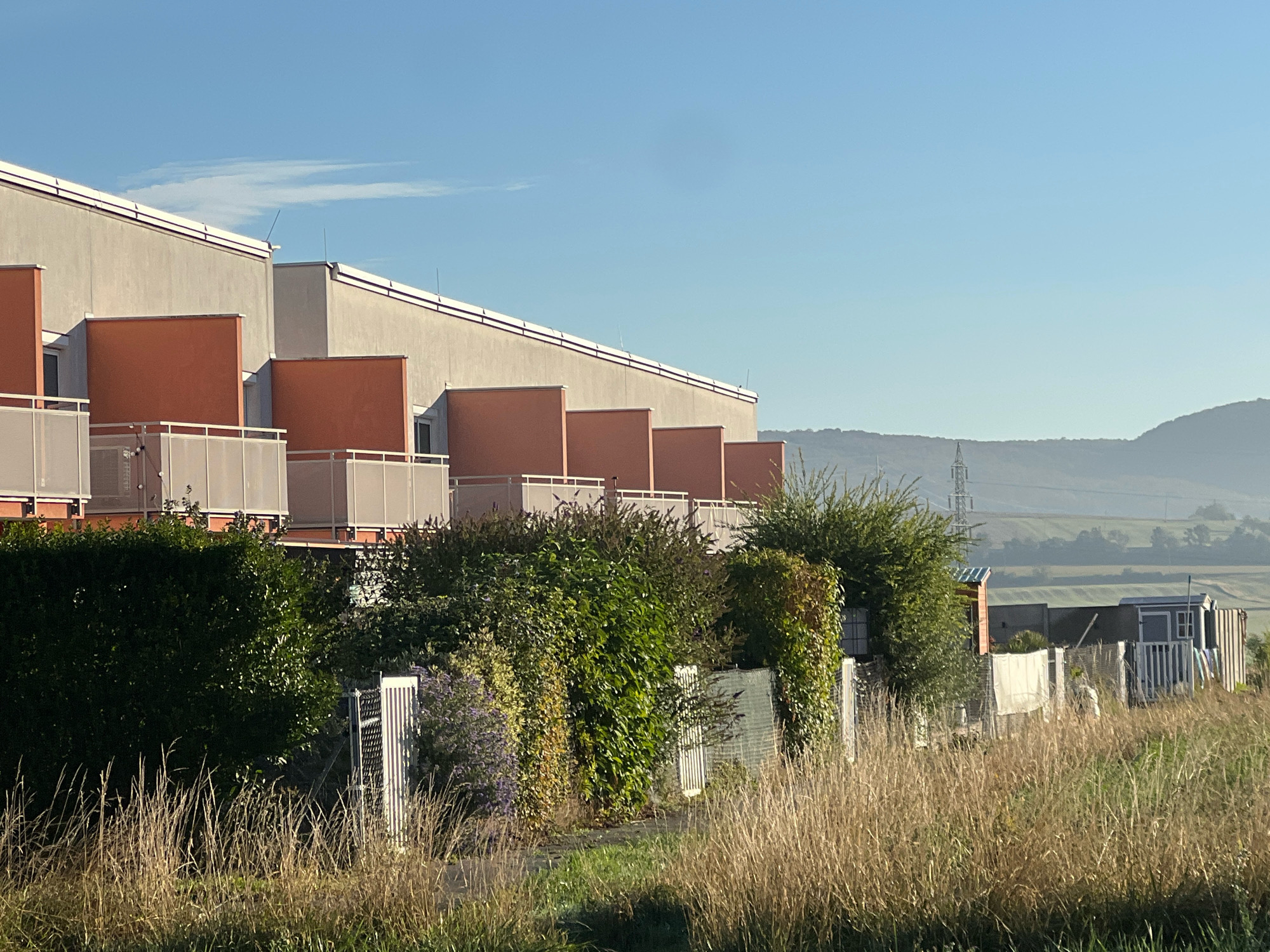 This is a daytime, eye-level, medium shot of a residential building and its surroundings in Steinbrunn, Austria. The building features a modern design with a light-colored facade and orange accents on balconies. A dense green hedge runs along the front of the property, with some dry grass and wildflowers in the foreground. In the background, rolling hills and a power pylon are visible under a clear blue sky with a wispy cloud. The overall scene is tranquil and depicts a suburban or semi-rural environment. There are no people visible in the image.