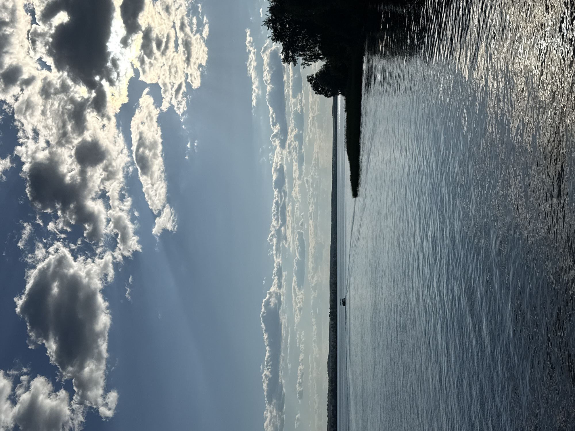 This vertical composition depicts a wide body of water, likely a lake or river, under a partly cloudy sky, attributed to the city of Votkinsk, Russia. The upper portion of the frame features a blue sky with numerous cumulus clouds of varying sizes and densities; some are bright white, while others appear darker and more shadowed. Sunlight is prominently breaking through and illuminating the clouds on the upper right, casting bright rays and highlights, with subtle rays also visible on the upper left.
The midground is dominated by the expansive water surface, characterized by small, uniform ripples reflecting the overhead sky and scattered sunlight. A faint, dark landmass, likely a distant shore covered with trees, stretches horizontally across the horizon in the upper-middle of the image.
In the middle-left of the water, a small, dark-hulled boat with several occupants is visible, moving away from the viewer towards the distant shore. It leaves a distinct V-shaped wake extending behind it across the water.
On the right side of the frame, a prominent, dark silhouette of a shoreline or small peninsula extends into the water. This landmass is densely covered with mature trees, appearing dark due to backlight. Reeds or tall grasses are also visible along the water's edge in this shadowed area. The water immediately adjacent to this dark shoreline exhibits strong reflections of the bright sky and sunlight, creating shimmering patterns. The overall lighting suggests a sunny day with dynamic cloud cover, potentially late afternoon or early morning, creating strong contrasts between lit and shadowed areas.