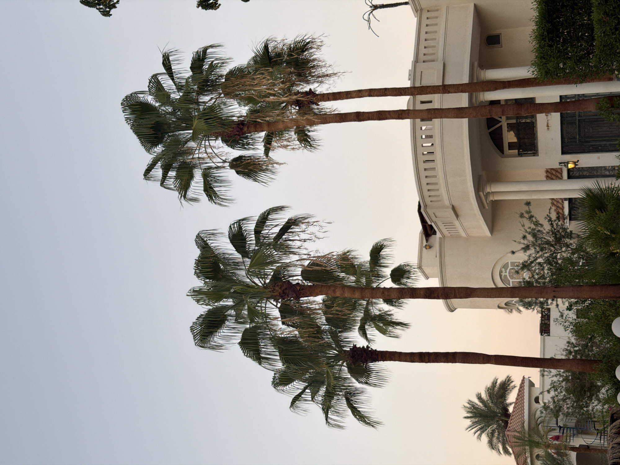 This is a wide shot of a luxury villa in Sharm El Sheikh, Egypt. The villa is a two-story building with a white exterior, a curved balcony, and a red-tiled roof on a separate section to the left. Several tall palm trees are in the foreground, with lush green foliage. The sky is clear and light blue, indicating it is daytime. The overall scene is bright and sunny, suggesting a warm climate.