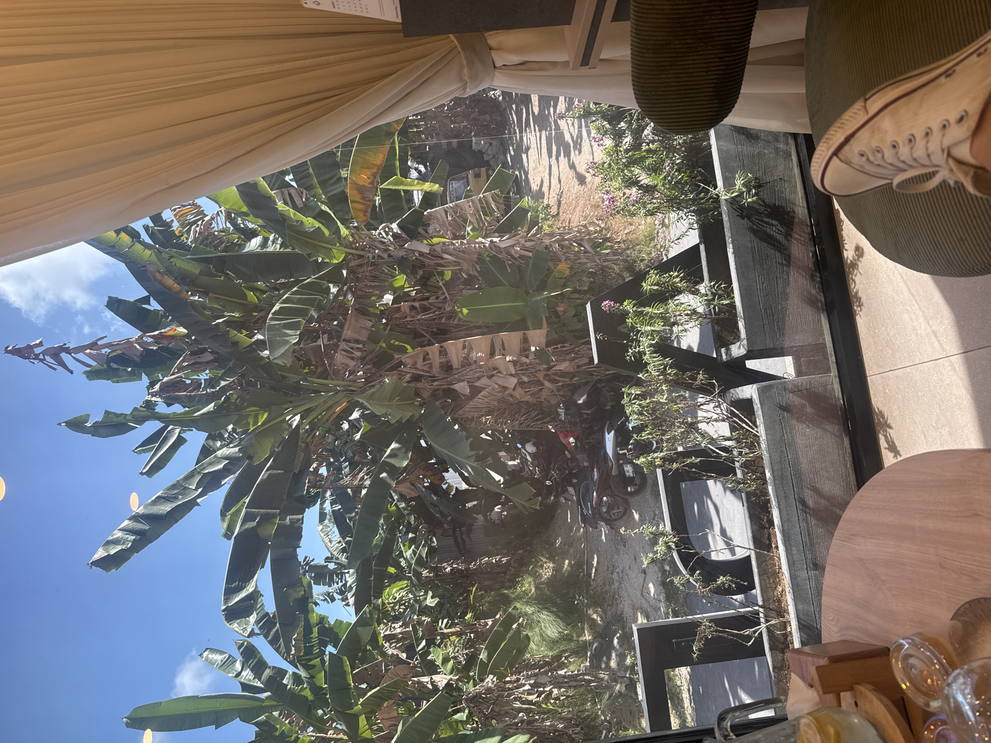 This media file captures an outdoor scene, possibly a cafe or a residential area, looking outwards through a window. The primary subjects are lush green banana trees and other vegetation, interspersed with what appear to be parked motorcycles and a small building in the background. The scene is bathed in bright sunlight, indicating a clear day.
In the foreground, from the viewer's perspective, a white canvas shoe with red laces is visible, suggesting someone is sitting or standing indoors, looking out. The shoe is on a textured, green surface, possibly a chair or sofa. Adjacent to this, a light-colored, textured curtain hangs from the top left of the frame.
The exterior scene is characterized by a dirt path or ground, shadows cast by the trees and structures, and a bright blue sky with scattered clouds. The banana leaves are large and varied in condition, with some appearing fresh and green, while others are dried and brown, indicating natural growth and decay. The presence of multiple motorcycles suggests a mode of transport common in the area, and the architecture of the small building hints at a tropical or developing setting.
The overall impression is one of a relaxed, sunny day in a tropical environment. The framing through the window creates a sense of observation, perhaps a person enjoying a moment of quiet contemplation or waiting. The image conveys a feeling of warmth and natural beauty. No visible text is present in the image. The location context of Kuta Selatan, Indonesia, aligns with the visual elements of lush tropical vegetation and the presence of motorcycles.