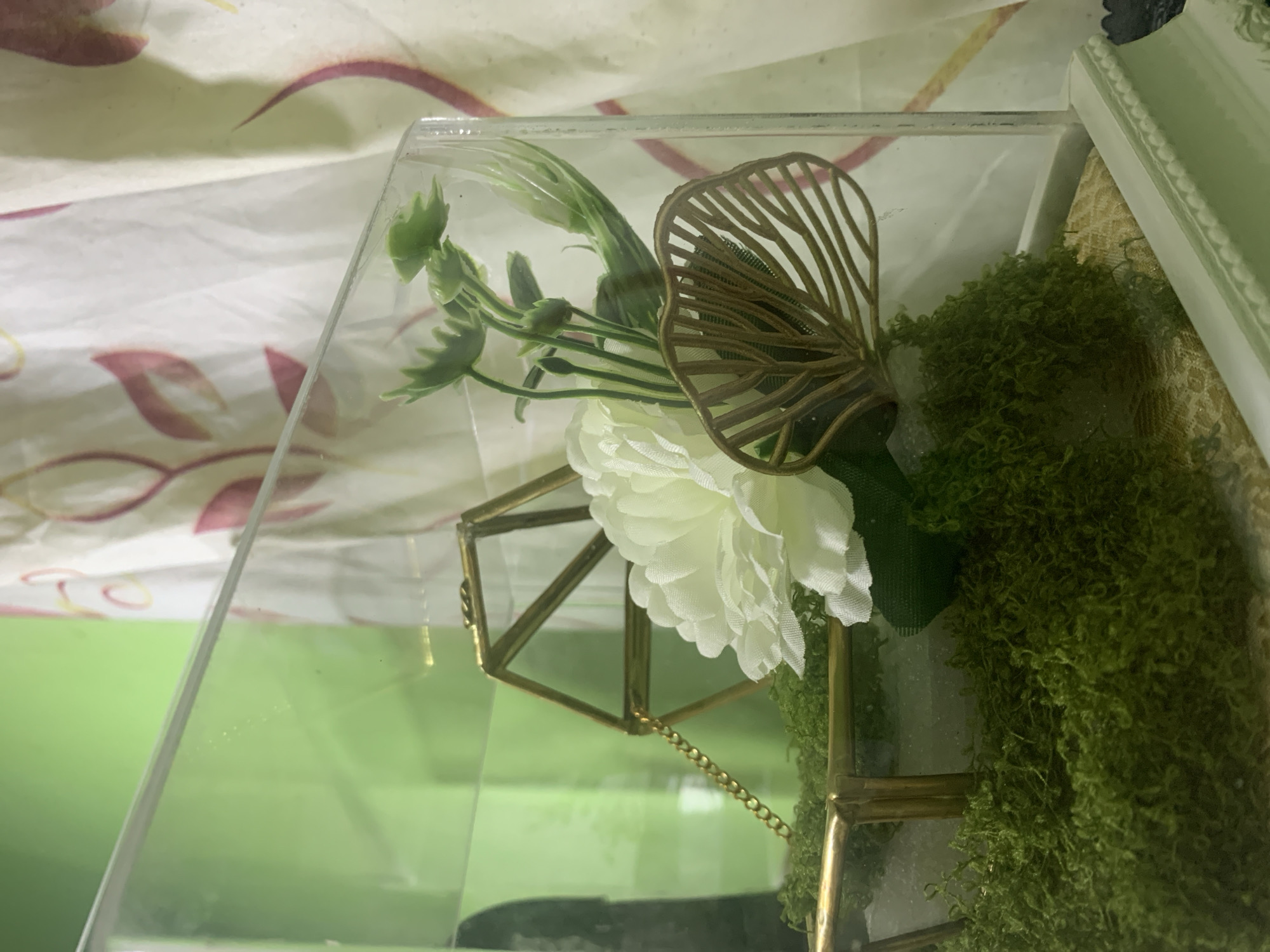 This media file captures a close-up, vertical shot of a decorative arrangement housed within a clear acrylic box. The primary subjects are artificial floral elements and moss. A prominent white, multi-petaled flower is nestled amongst vibrant green foliage. To the right of the flower, a delicate, fan-shaped decorative piece made of brass or a similar metallic material is visible. The base of the arrangement is densely packed with textured green moss.
A geometric terrarium, constructed with brass-colored metal frames and glass panes, sits within the acrylic box, partially obscured by the moss and flowers. A thin, gold-colored chain dangles from the terrarium. The acrylic box itself is clear, allowing the background to be seen, which appears to be a patterned fabric with soft, flowing lines in shades of pink and cream. Part of a white, decorative frame is also visible on the right edge of the image, suggesting this arrangement is part of a larger display or piece of decor.
The lighting in the image is diffused, suggesting an indoor setting. There are no people or animals present. The overall impression is one of a carefully arranged decorative item, possibly a centerpiece or a display for small treasures. There is no visible text within the media file. The context of Kuala Pembuang, Indonesia, does not offer specific visual cues within the image itself, as the scene is generic and could be found in many locations.
