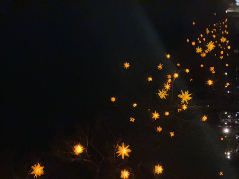 A night scene with sparse, bare tree branches adorned with illuminated, golden star-shaped lights. The lights are scattered, some clustered and some solitary. A dark, predominantly black background fills most of the frame, with a slight light source visible at the top right. The lights create a festive atmosphere.