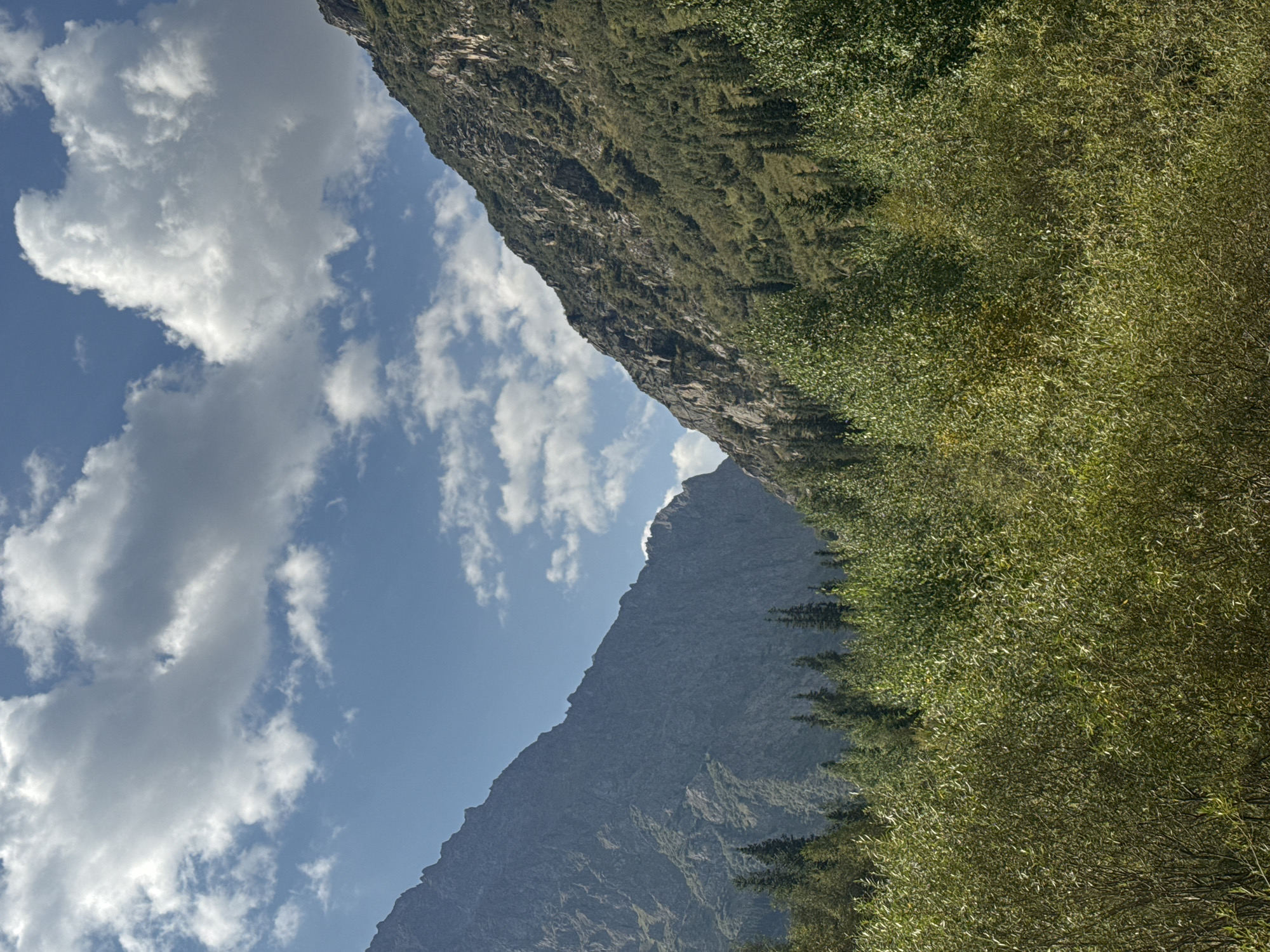 A vertical, eye-level shot captures a mountain valley with lush greenery in the foreground and a clear blue sky dotted with white clouds overhead. The left side of the frame features a steep, rocky mountain face with visible geological strata. The right side of the frame shows a similar, though less steep, mountain slope covered in dense green vegetation, including coniferous trees. A dense, leafy green forest occupies the lower half of the image, with some lighter green foliage in the immediate foreground. The scene appears to be a natural landscape in a mountainous region of Kyrgyzstan.