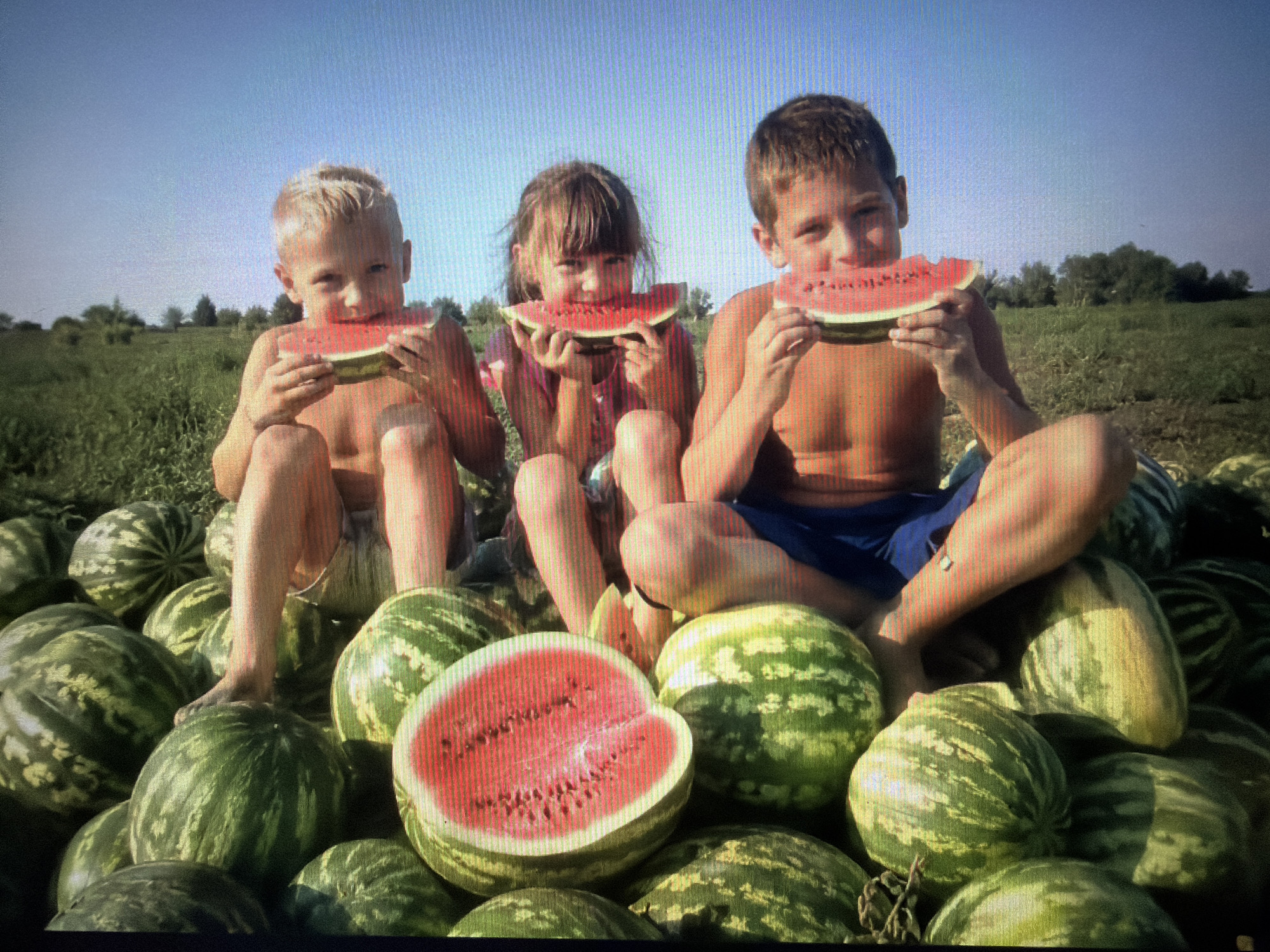 In an outdoor setting, a group of three children are seated amidst a large pile of watermelons, each holding and eating a slice of watermelon. The child on the left, a boy with blond hair, is biting into a slice of watermelon. To his right, a girl with brown hair is also eating a slice. On the far right, another boy, also with brown hair, is consuming a piece of watermelon. The background consists of a green field with trees and a clear blue sky. The scene appears to be in a rural or agricultural area.