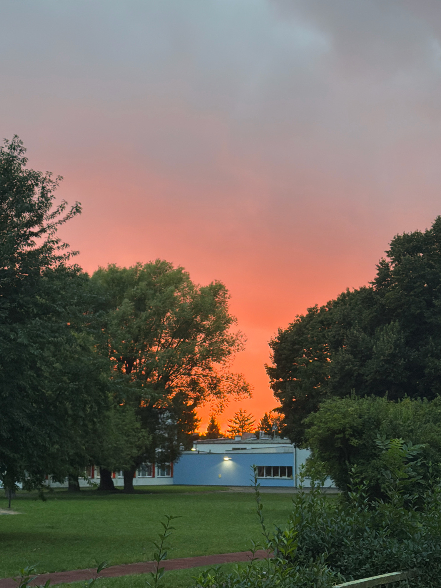 The image depicts a vibrant sunset casting a warm orange and pink glow across a sky filled with diffused clouds. Silhouetted against this dramatic sky are the dark green canopies of several large trees. In the mid-ground, a low-rise building with a light blue facade and white window frames is visible, partially obscured by the trees. Red accents are present on some of the window frames of the building. The foreground features a well-maintained green lawn, a walking path, and the dense foliage of bushes and smaller plants. The scene suggests an outdoor setting, possibly a park or school grounds, in Koszalin, Poland. No people are visible in the image.
