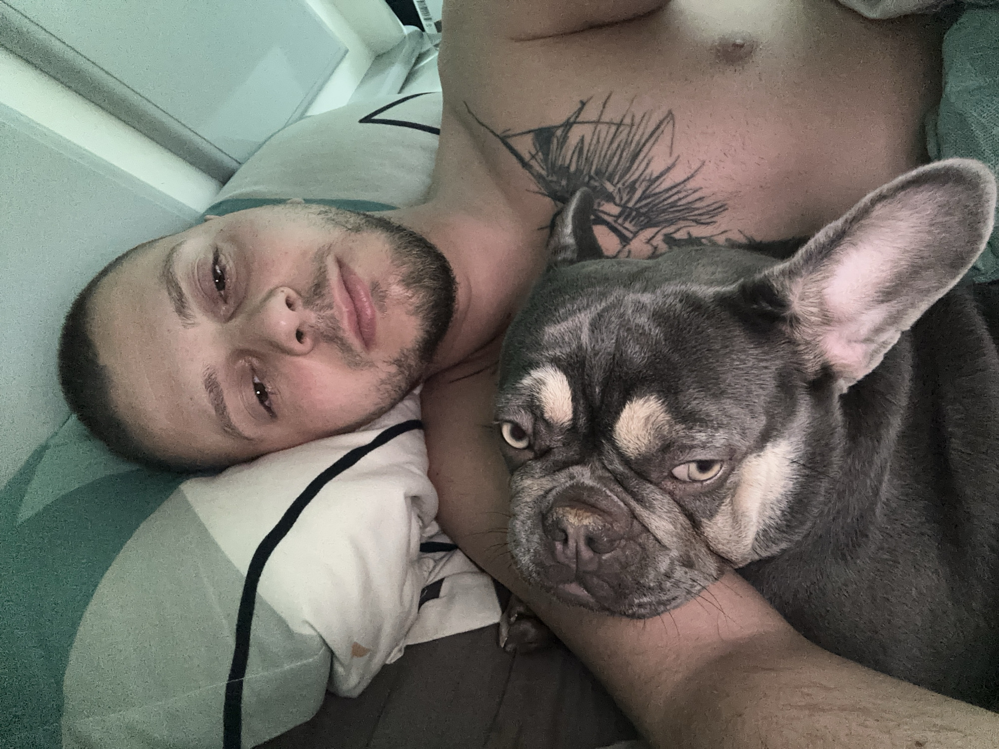 A man and a French bulldog lie together on a bed with striped pillows. The man is on his back, looking up at the camera with a slight smile. He has short brown hair and a beard. A tattoo of a plant is visible on his chest. The French bulldog is nestled next to him, looking at the camera with its head resting on the man's arm. The dog is grey and tan with distinctive markings around its eyes and muzzle. The background shows a corner of a bed with striped pillows and a green patterned throw blanket. The setting appears to be indoors, likely a bedroom, with soft lighting.