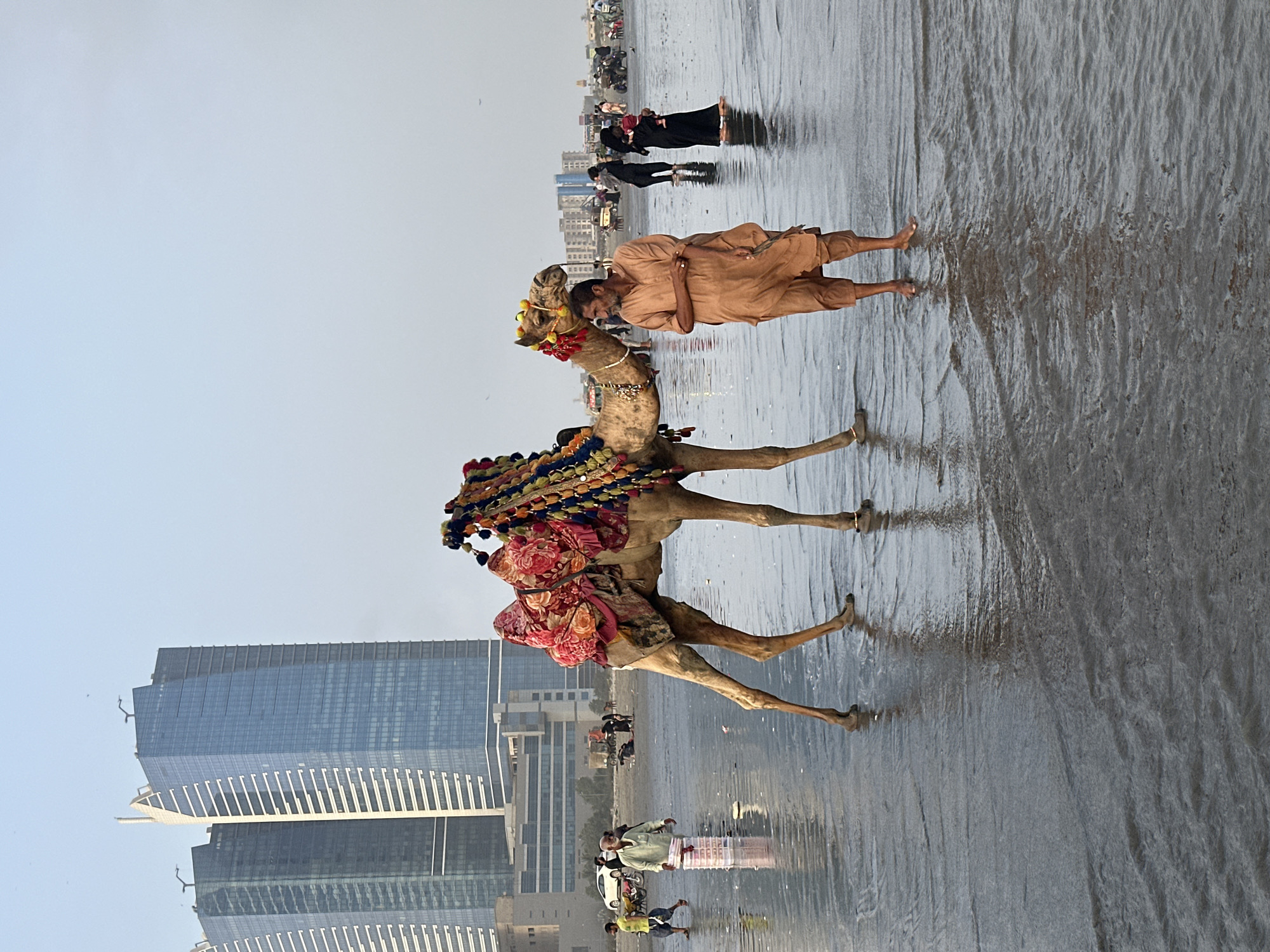 A camel adorned with colorful blankets and tassels stands on a wet beach. A man in a tan outfit stands next to the camel, appearing to be its handler. In the background, several other people are visible on the beach, some walking and others on what appear to be motorcycles or ATVs. Further in the distance, modern glass skyscrapers rise against a pale sky. The scene suggests a public gathering or a tourist attraction on the coast. The wet sand and shallow water indicate that the tide may have recently receded or is currently low. The lighting suggests it is daytime, possibly late afternoon or early morning, given the soft light. The presence of the camel and the beach setting points to a location in Pakistan, consistent with the provided location context. There is no visible text in the image.