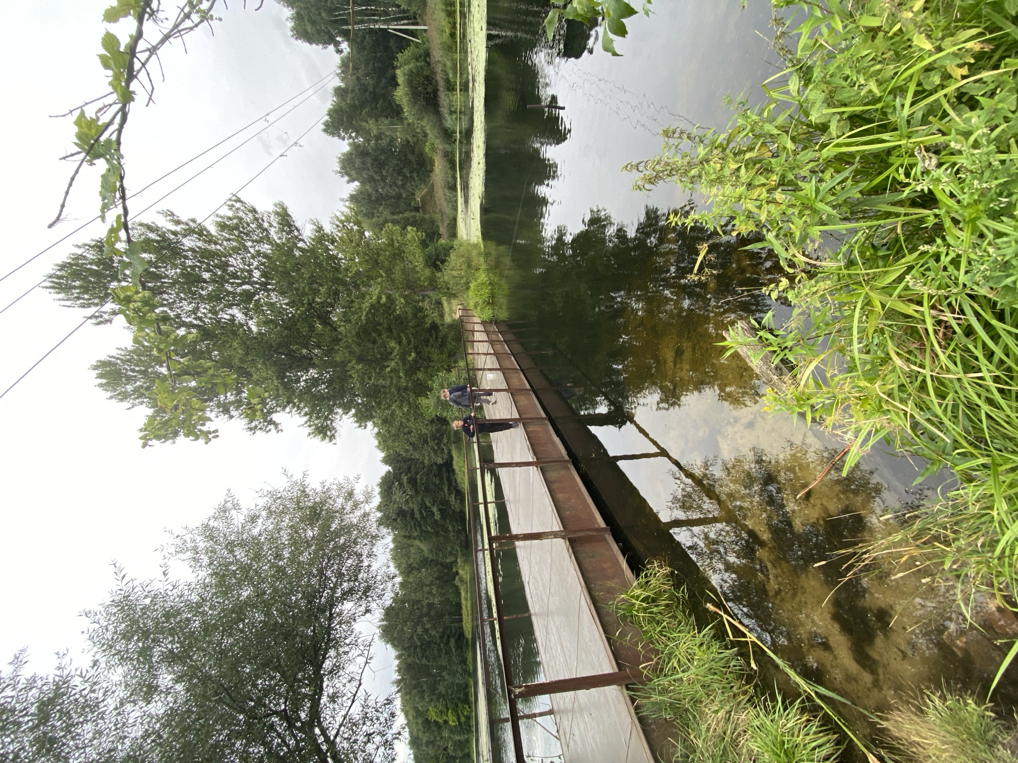 Two individuals are walking on a metal pedestrian bridge that spans a body of water. The bridge has a rusted railing. The water is dark and reflects the surrounding trees and the sky. Along the edges of the water, there is dense green vegetation. In the background, a forest of trees borders the water. Overhead, power lines are visible, strung between poles. The sky is overcast. The location is the city of Sobolíkha, Russia.