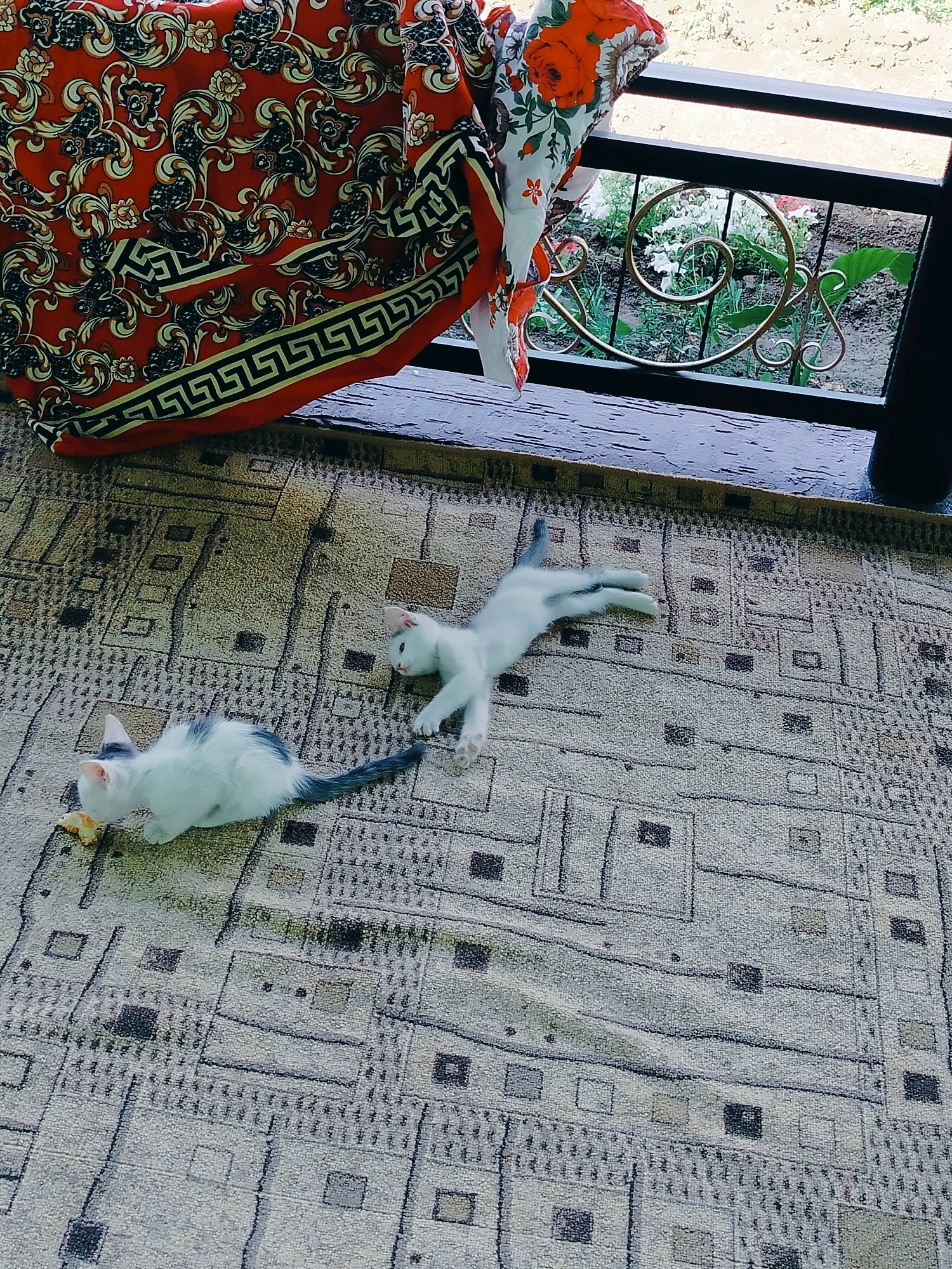 Two white kittens with grey markings are on a patterned carpet on a porch. One kitten is in the foreground on the left, lying down and eating a piece of food. The other kitten is in the middle ground on the right, stretched out on its side. A red and floral patterned fabric is draped over a railing in the background, behind which is a garden with greenery and flowers. The scene appears to be outdoors on a warm day. The location is in Kölkent, Kazakhstan.