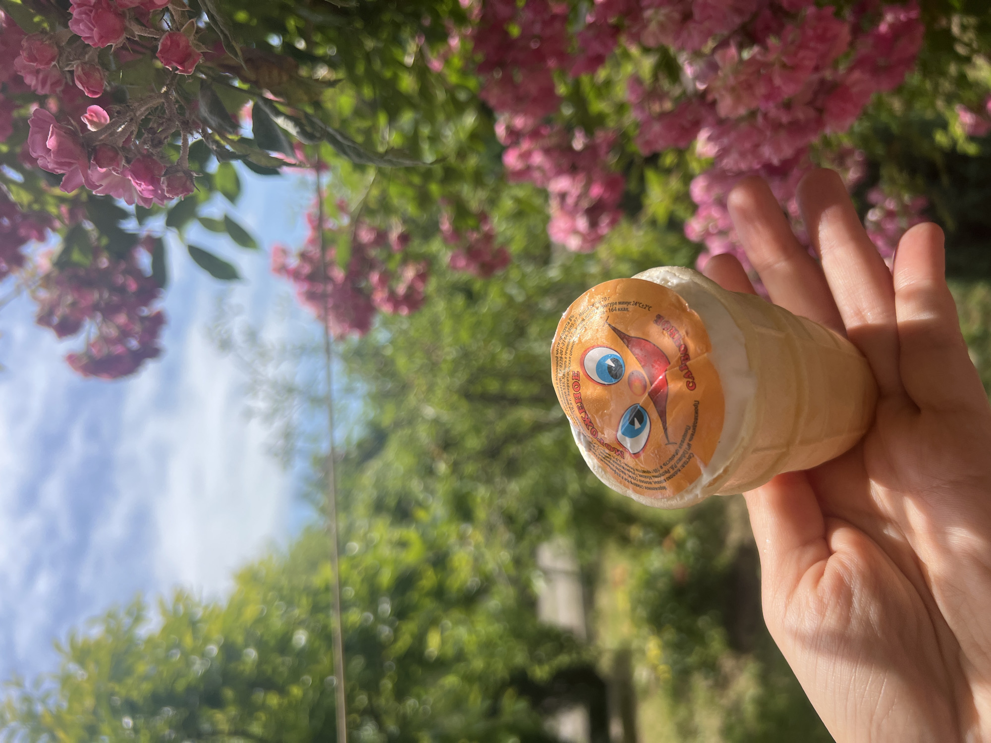 A light-skinned human hand is centrally positioned, holding an ice cream cone. The ice cream, within a conical wafer, is topped with an orange foil wrapper featuring a cartoon-style smiley face with blue eyes and a red mouth; Cyrillic text is visible on the wrapper. The background, largely out of focus, displays vibrant pink roses in bloom to the right and dense green foliage, likely trees or bushes, to the left. The sky, partially visible at the top, is blue with scattered white clouds. Strong natural light illuminates the scene, casting shadows on the hand. A thin, dark horizontal line is present in the mid-background. The location is the city of Unknown, Unknown.
