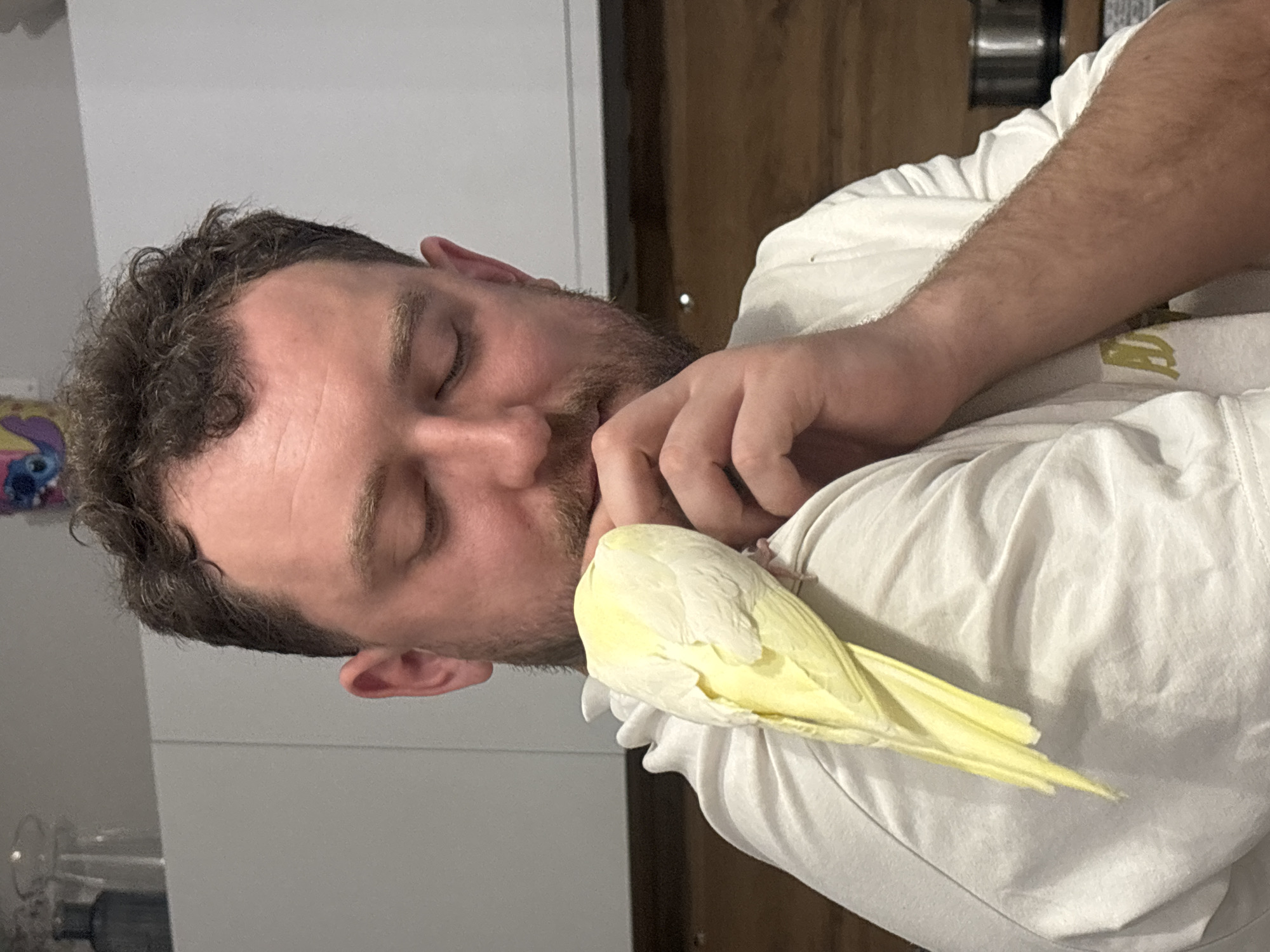 A man with short brown curly hair and a beard is sleeping with his eyes closed. A yellow parrot is perched on his shoulder. The man is wearing a white shirt. The background consists of a white wall and a wooden surface. The location is not identifiable as Krasnoyarsk, Russia based on the provided image.