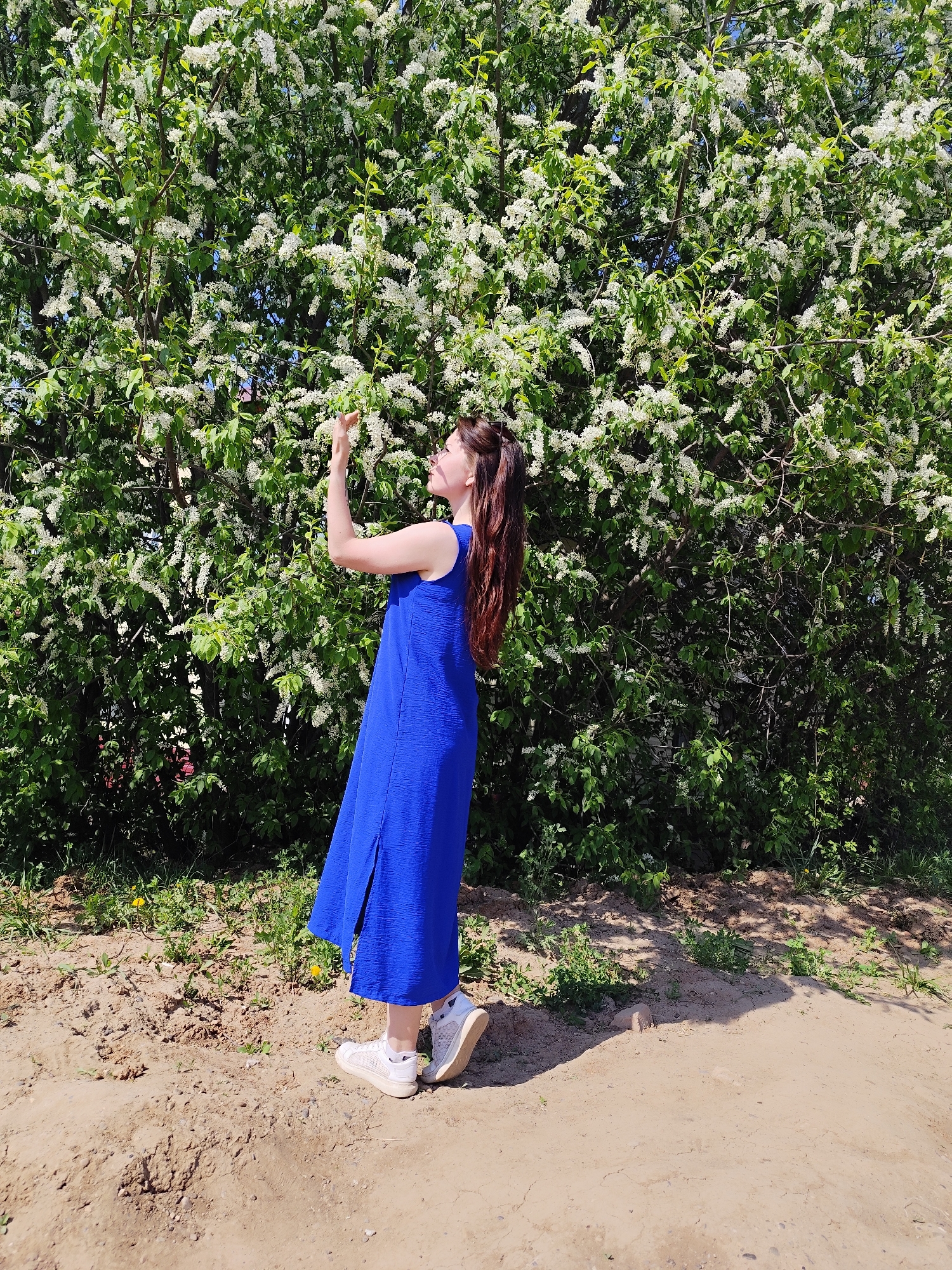 A woman in a bright blue dress and white sneakers stands on a dirt path, reaching towards a large flowering bush in the city of Фоки, Russia. The bush is densely covered with white flowers and green leaves. The woman has long brown hair. Her right arm is raised and angled slightly upwards, while her left arm is extended towards the bush. The ground around the path is dirt and grass. The overall scene is lit by natural daylight.