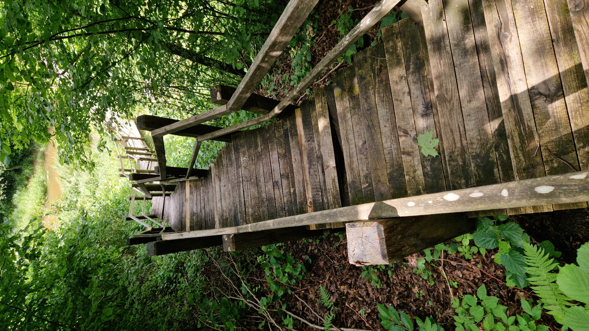 The image shows a wooden staircase descending into a lush green forest. The stairs are made of weathered planks and have wooden railings on either side. Sunlight filters through the leaves of the trees, casting dappled shadows on the stairs. In the background, a body of water can be seen, bordered by tall grass and more trees. The overall scene is one of natural beauty and tranquility. The location is identified as Embūte, Latvia.