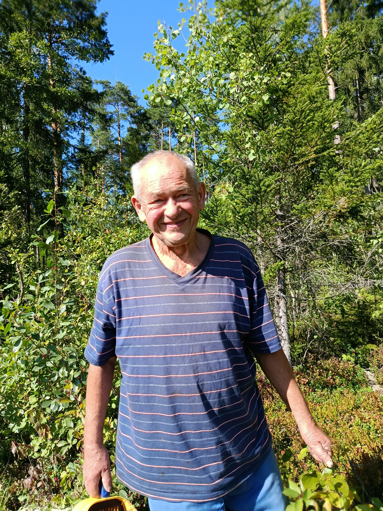 A Caucasian man, appearing to be in his late 60s or early 70s, stands in a forest in Gribchikha, Russia. He has fair skin, graying hair, and is smiling. He is wearing a dark blue t-shirt with horizontal red and white stripes and blue shorts. He is holding a yellow and blue basket in his left hand and reaching out with his right hand towards some green leaves. The background consists of dense forest with various trees and bushes. The sky is clear and blue.