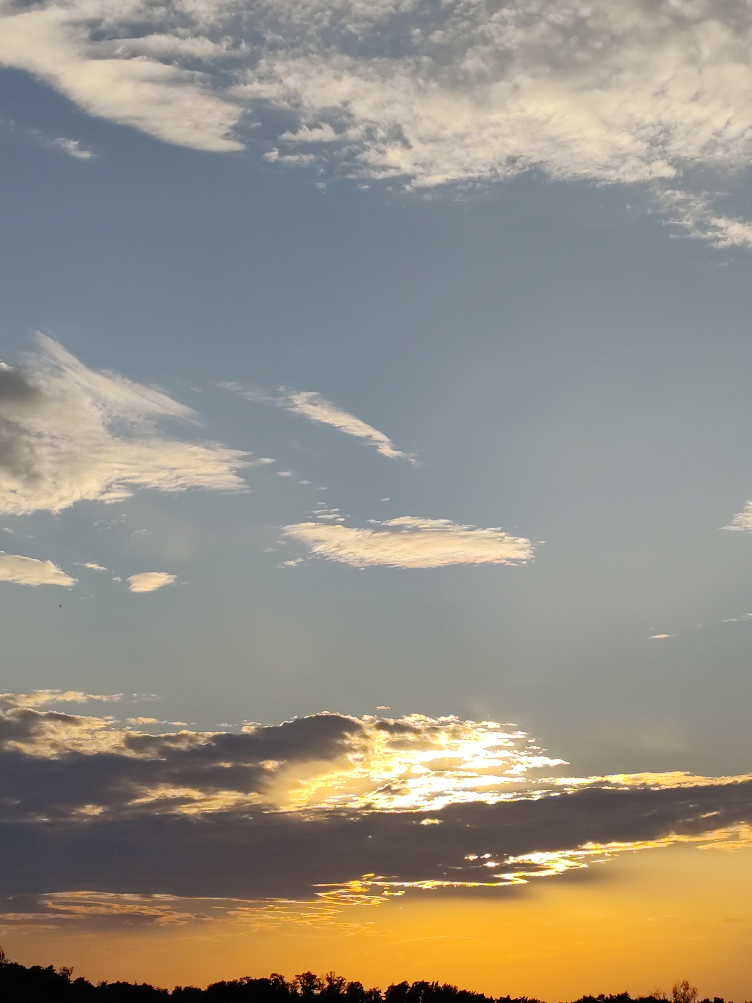 The image depicts a sunset over a treeline, with the sky filled with clouds. The sun is low on the horizon, casting a warm, golden light that illuminates the undersides of the clouds. The sky transitions from a pale blue at the top to a deep orange and yellow near the horizon. The treeline at the bottom of the image is silhouetted against the bright sky, with no discernible structures or landmarks visible. The scene is tranquil and natural, with no human presence or activity evident. The specific location in Zielona Góra, Poland, is not identifiable from the visual information provided in the image.