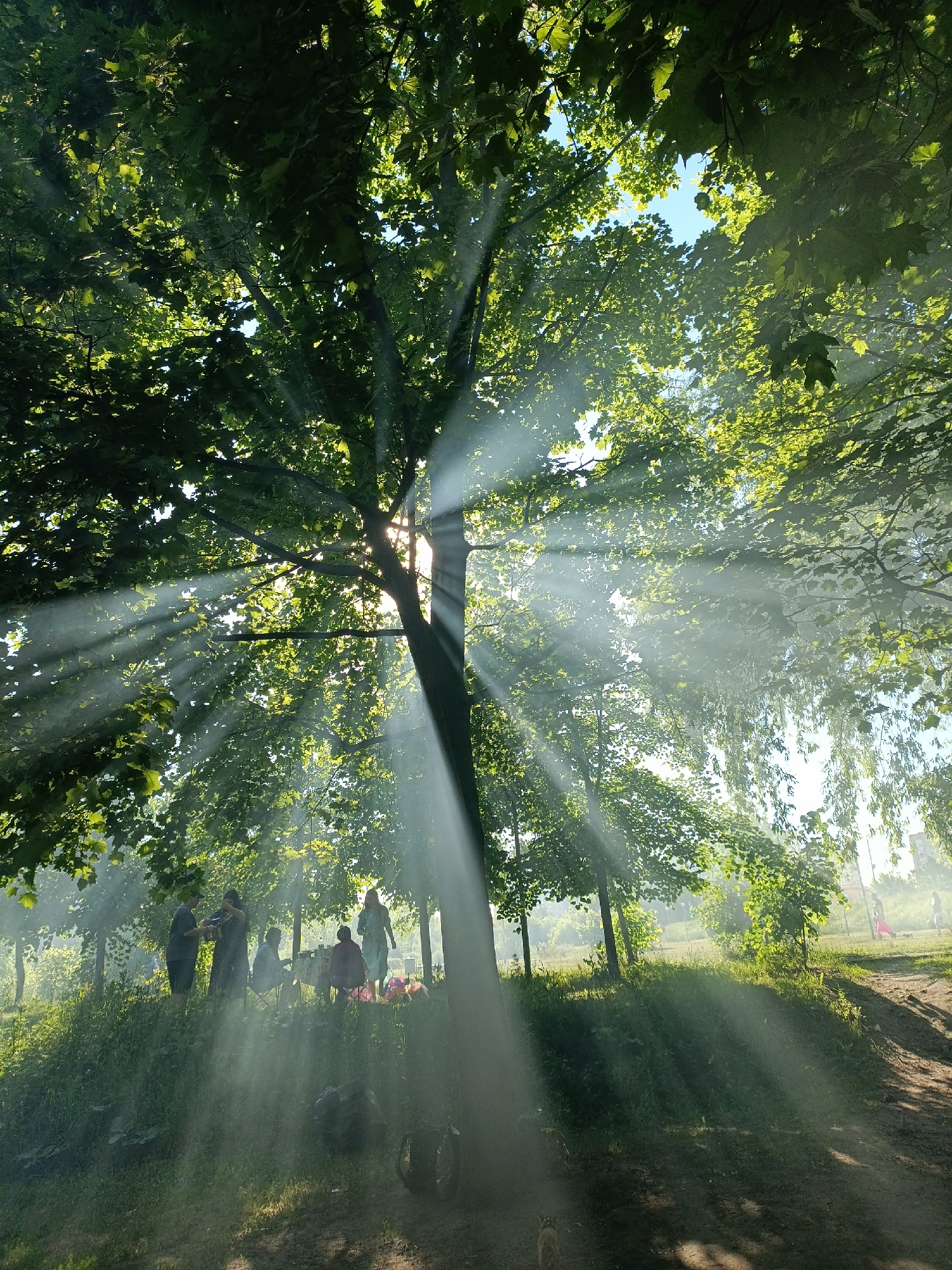 The image depicts an outdoor gathering in a densely wooded park or forest area within the city of Moscow, Russia. Strong sunlight penetrates the tree canopy from the upper right, creating prominent crepuscular rays that are made visible by atmospheric haze or smoke, likely originating from a nearby fire source, possibly a campfire or barbecue, which is not directly visible but strongly implied by the smoke.
In the mid-ground, a group of approximately five individuals is situated under a large, leafy tree. From left to right: one person in a light shirt and dark shorts holds an object while interacting with a second person, who is wearing a dark, patterned long dress and holding what appears to be a pot or kettle. A third person is seated on a low chair, looking towards the first two. Further to the right, another individual is seated, partly covered by a red/orange blanket or poncho, next to a small table with various items. A fifth person, wearing a light-colored dress, stands slightly apart to the right. The ground is a mix of dirt and grass, with an uneven, slightly sloping terrain. In the immediate foreground, at the base of the main tree, two dark-colored bags or pieces of equipment are present on the ground. A dirt path is visible on the right side of the image, extending into the background where two additional, more distant figures are faintly discernible, one appearing to wear pink. The overall scene conveys a leisurely outdoor social event under sunny, hazy conditions.