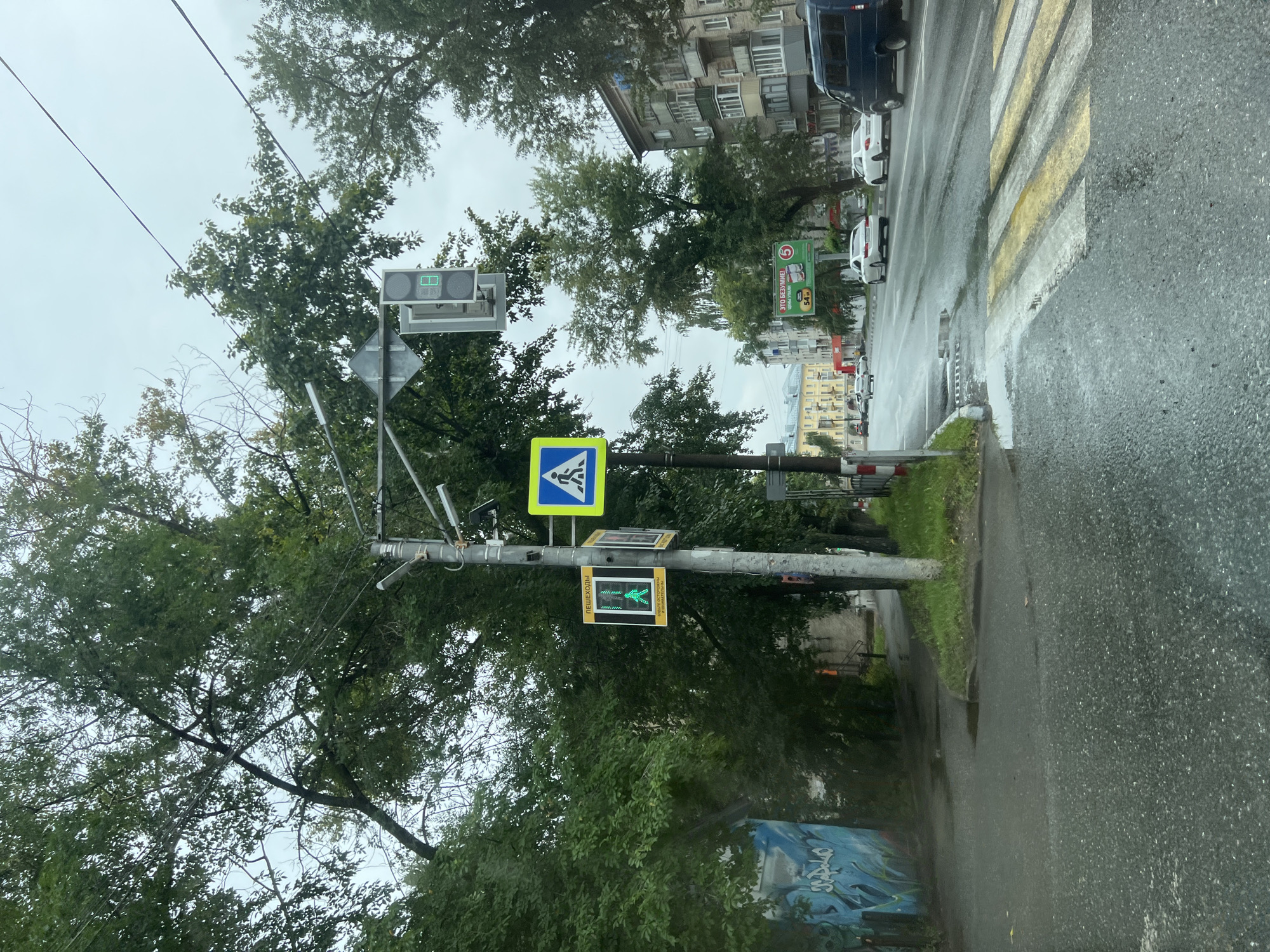 This is a street-level photograph taken on a cloudy day in Ulyanovsk, Russia. The scene depicts a wet street with a pedestrian crossing. On the right side of the image, a dark blue van is parked. Further down the street, white cars are visible. To the left, there is a sidewalk and a grassy area. Trees line the street, and buildings can be seen in the background. Traffic lights are present, with one showing a green walking person symbol, indicating it is safe for pedestrians to cross. A blue mural with white graffiti is on a wall to the far left. The overall impression is of a typical urban environment during overcast weather.