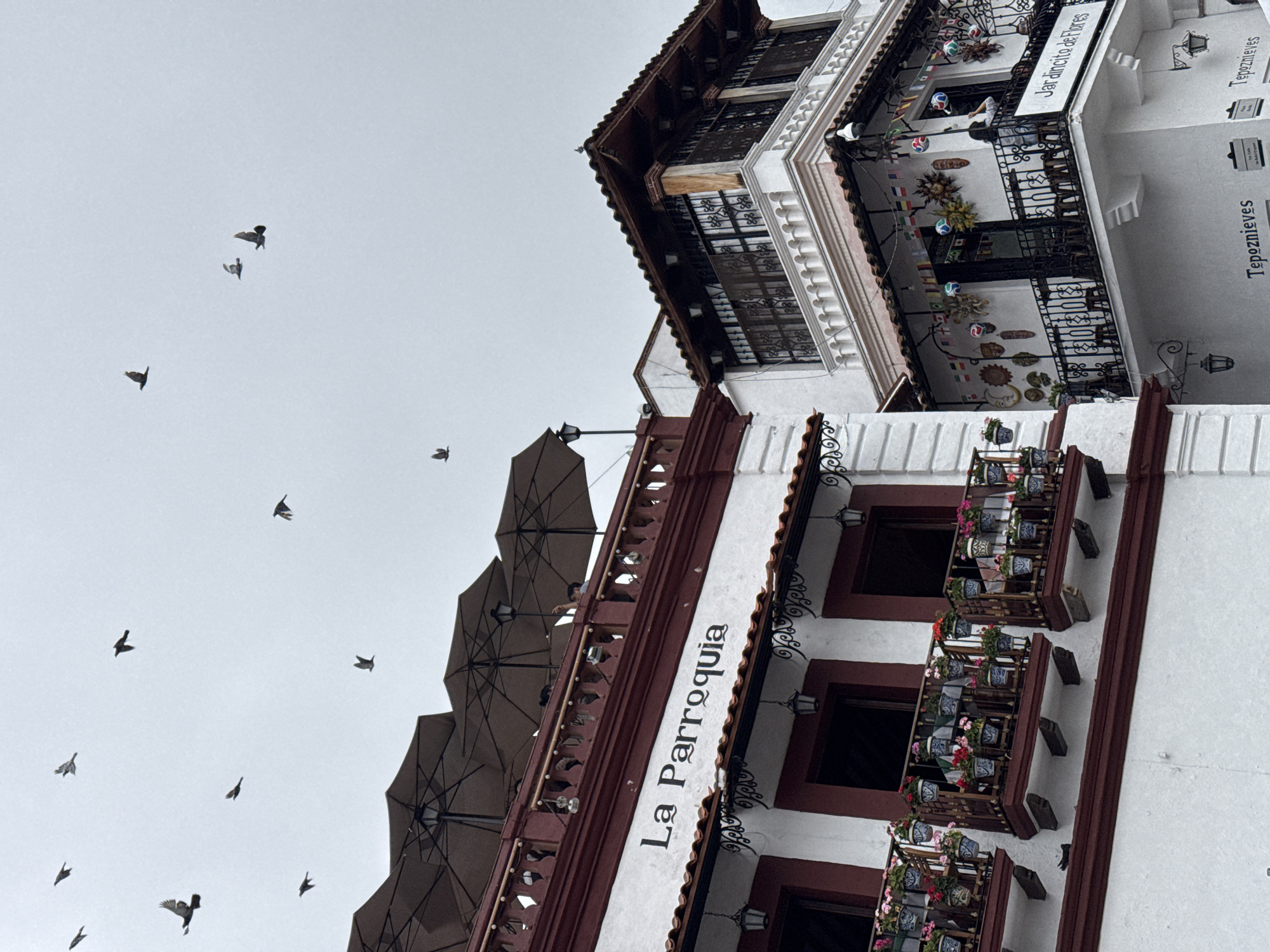 The image shows a view of the "La Parroquia" restaurant and a neighboring building in Taxco, Mexico. Birds are visible flying in the overcast sky. The "La Parroquia" building has a white facade with a red trim. Above the white facade, there is a balcony with umbrellas and lights. The balconies on the white facade are decorated with potted flowers. The neighboring building is also white with red trim and has a balcony adorned with flags, masks, and decorative spheres. A person is visible on this balcony, seemingly adjusting a decoration. Signs for "Jardincito de Flores" and "Tepoznieves" are visible on the buildings.