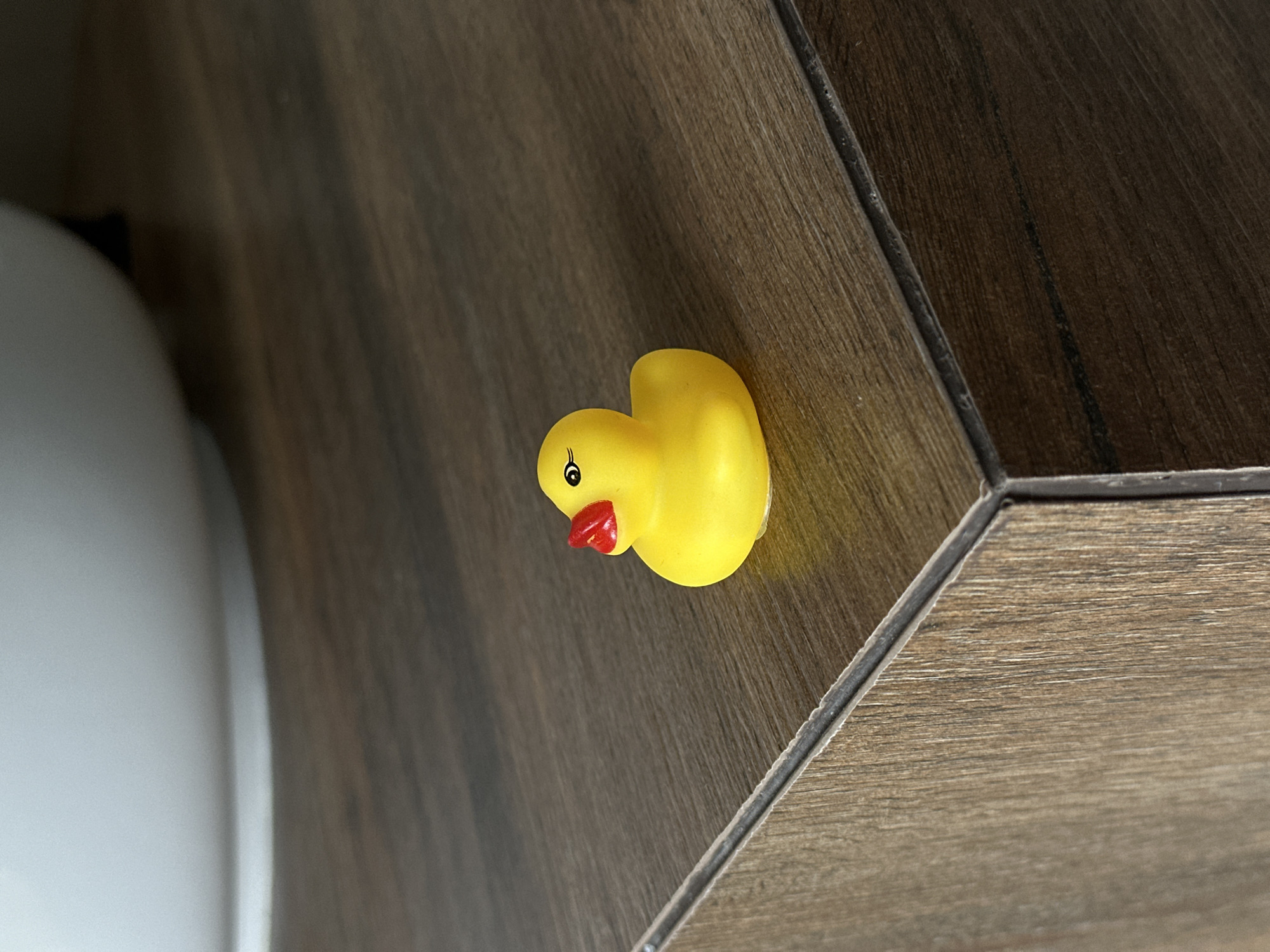 A yellow rubber duck toy sits on a dark brown, hexagonal patterned floor tile. Part of a white porcelain toilet is visible to the left of the duck. The location is not specified as being in Подшивалово, Russia.