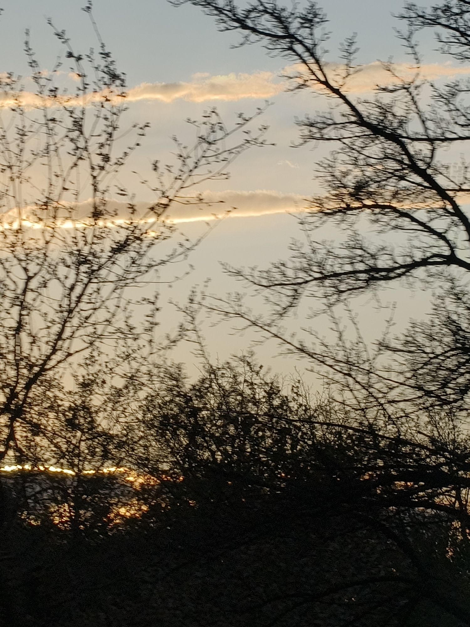 The image depicts a sunset scene in what appears to be a park or wooded area. The foreground is dominated by silhouettes of bare trees and bushes. The sky is visible between the branches, showing a light-colored sky with layered clouds reflecting the colors of the setting sun. Some parts of the sun can be seen reflecting off surfaces on the ground.
Without further visual clues or metadata, the exact location within Kryvyi Rih, Ukraine, cannot be determined definitively.