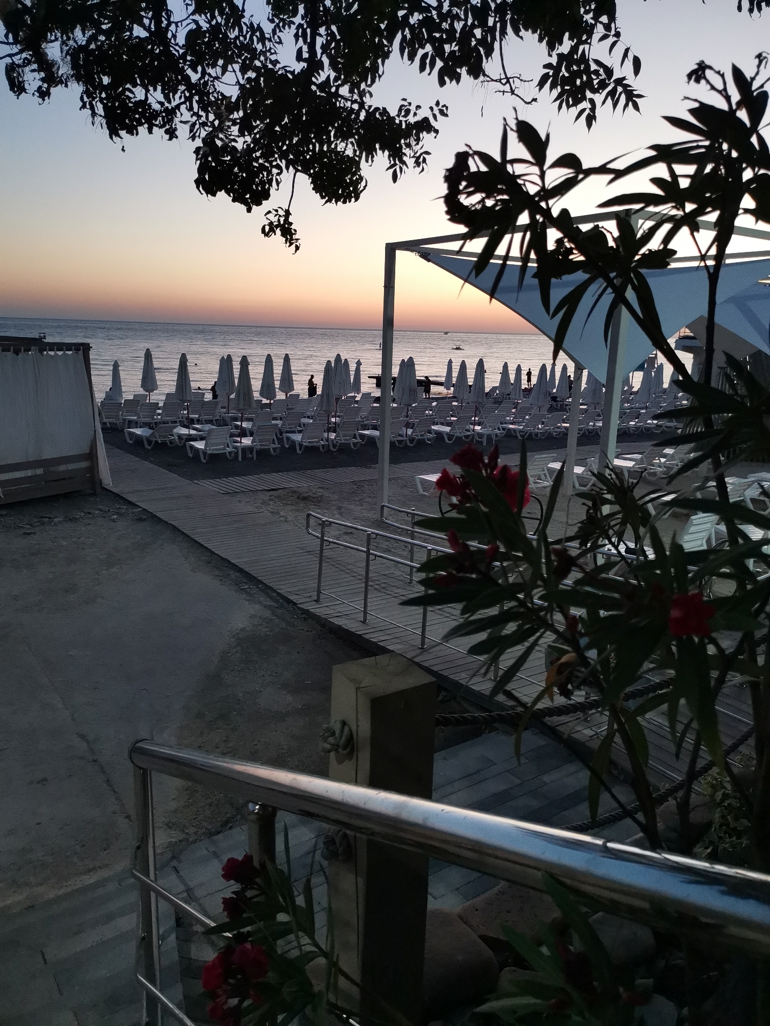 The image shows a beach at dusk. In the foreground, a silver railing runs horizontally across the bottom of the frame, with red flowers and green leaves on a plant to the left. A wooden walkway extends from the foreground towards the beach, with a ramp leading down to it. On the beach, rows of white lounge chairs and umbrellas are set up. The sea is visible in the background, with a faint orange glow on the horizon from the setting sun. Several people are standing on the beach and in the water, and a small boat is visible in the distance on the sea. A large, light blue canopy is erected on the right side of the frame, casting a shadow over some of the chairs. Dark green foliage hangs from the top of the frame, silhouetted against the dusky sky. The overall impression is a serene beach scene at the end of the day.