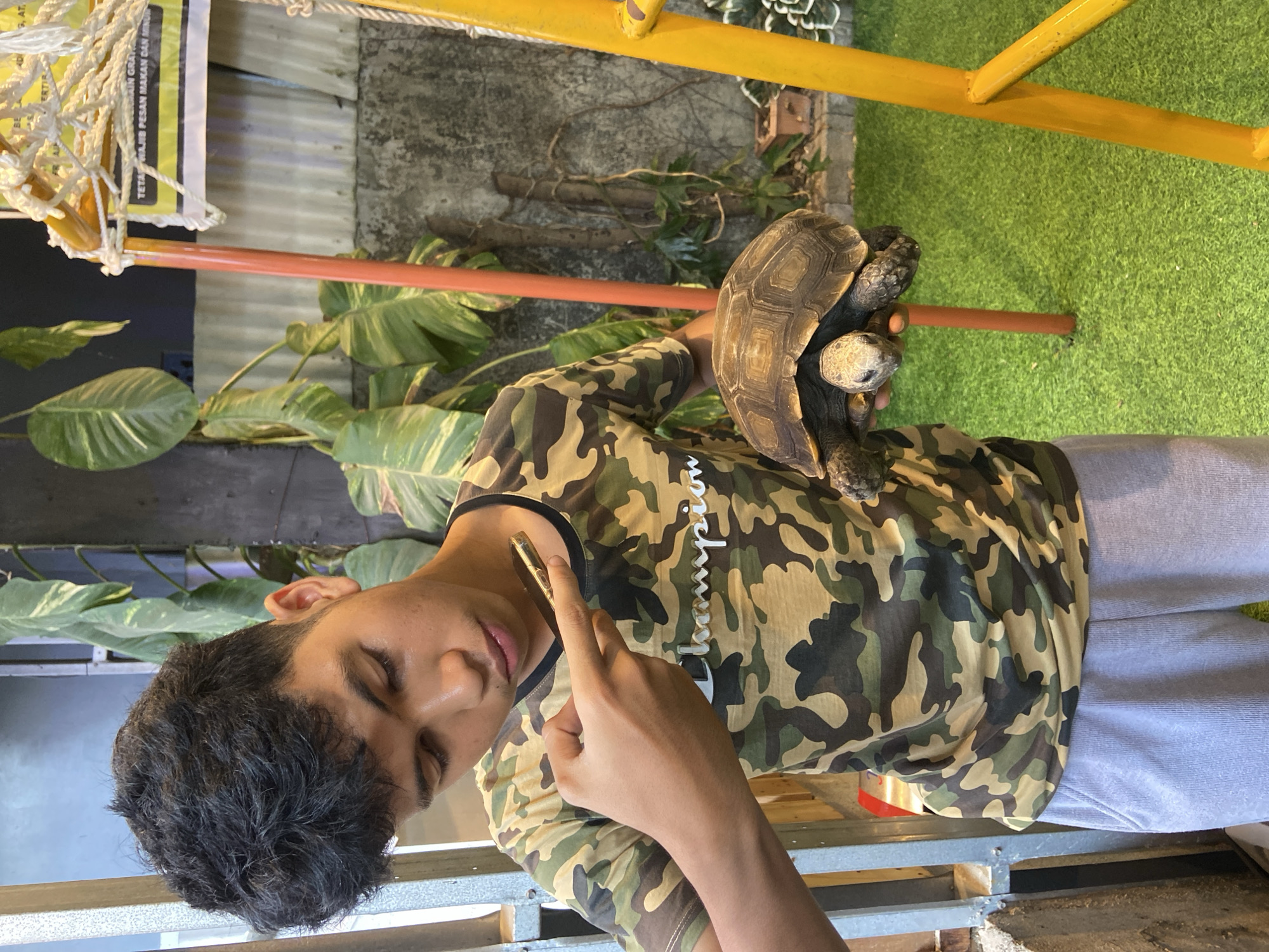 A young man with dark, curly hair wearing a camouflage t-shirt and light gray sweatpants is holding a tortoise. He is pointing his right index finger towards the tortoise, which he is holding in his left hand. The tortoise is a light brown color with a textured shell. The man's face is looking down towards the tortoise with a neutral expression. He is standing on a green, artificial grass surface. In the background, there are large green plants with variegated leaves, a concrete wall, a metal fence, and a yellow structure that appears to be part of a playground or swing set. A partially visible sign with Indonesian text is attached to the yellow structure. The overall environment suggests an outdoor or semi-outdoor setting, possibly a garden or a recreational area within the city of Rengat, Indonesia.