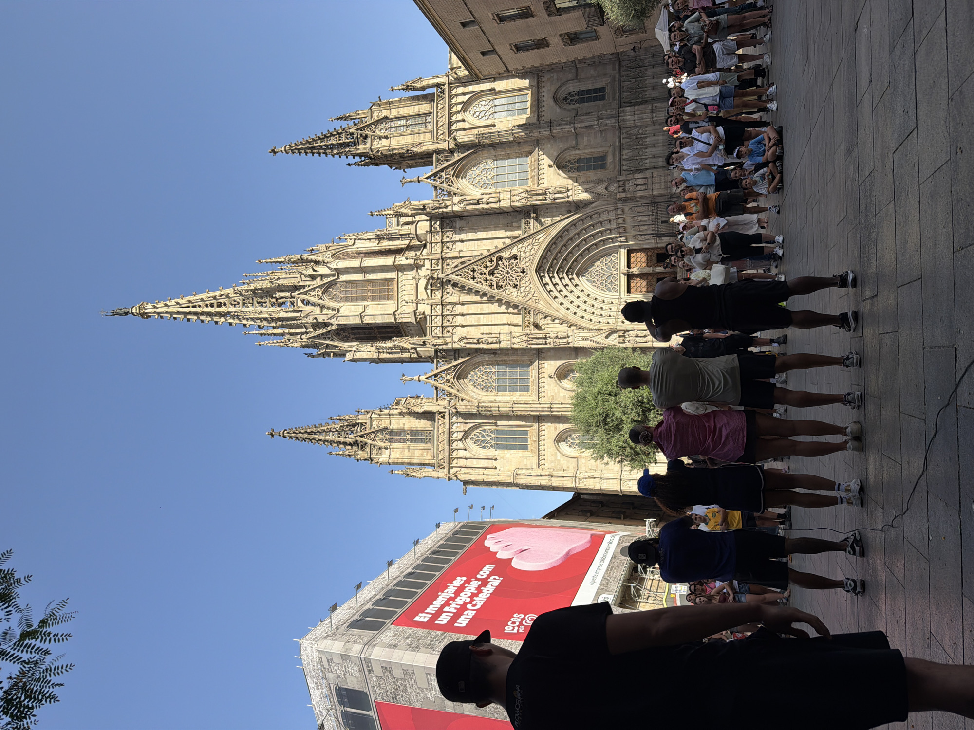 This is a vertical, outdoor, eye-level, full shot taken on a sunny day in Barcelona, Spain. The image captures a crowd gathered in front of the Barcelona Cathedral, a prominent Gothic structure. In the foreground, on the left, a man in a black t-shirt and shorts is seen from behind, his body angled to the right. Behind him, a group of four individuals, also viewed from behind, stand in a line, facing the cathedral. These four are wearing a dark blue t-shirt and shorts, a blue cap, pink checkered shirt and shorts, and a grey t-shirt and shorts. A black cable snakes across the cobblestone pavement in front of them.
Further back, a larger crowd of people are milling about in the plaza. Among them are children sitting on the ground. To the left of the cathedral, a large, modern building is covered with a red banner featuring text in Catalan and a graphic of a pink hand. The Barcelona Cathedral dominates the background, its intricate Gothic architecture and tall spires reaching towards a clear blue sky. Trees are visible in front of the cathedral's facade, and more buildings line the right side of the plaza. The scene appears to be a public gathering or event, possibly a performance or tour, given the setup with the cable and the group facing the cathedral.