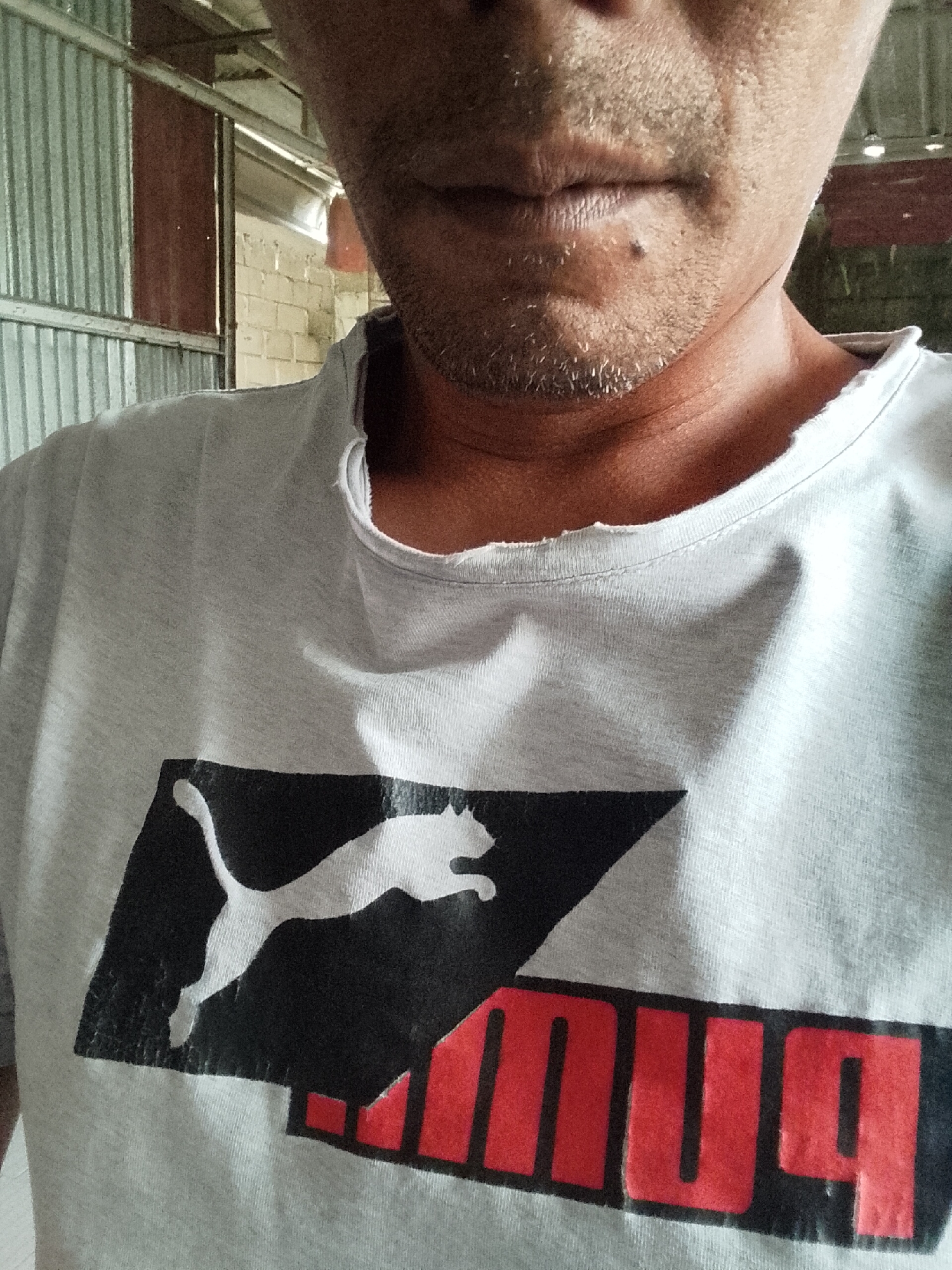 The image is a close-up, waist-up shot of a person wearing a light gray t-shirt with a black and white Puma logo. The logo features a leaping puma silhouette within a black diamond shape, with the word "Puma" in red lettering below it. The t-shirt appears to be made of a soft, textured fabric and has a slightly distressed neckline. The person's neck and lower face are visible, showing light stubble and a small mole on the chin. The background is blurred but suggests an indoor environment with corrugated metal walls and brickwork, possibly a workshop or storage area. The lighting is somewhat dim, with a strong light source coming from the right. The image's context, including a specific location in Padang Dalom, Indonesia, is not discernible from the visual information alone.