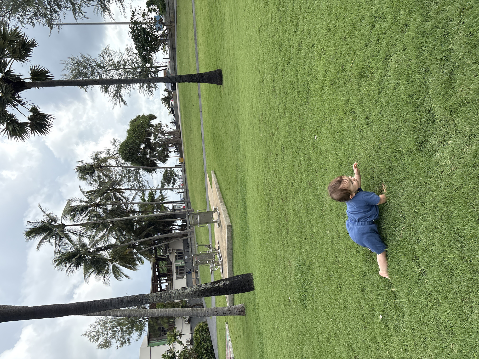 In Karon, Thailand, a young child is crawling on a well-maintained, vibrant green lawn. The child is wearing a blue romper and is positioned in the lower center of the frame, facing right with their body angled towards the viewer. The background features a line of palm trees with lush fronds, a paved walkway, and a building with a light-colored facade and dark-trimmed windows. Beyond that, a cloudy sky with hints of blue is visible, suggesting an overcast day. Some outdoor exercise equipment is situated on a concrete pad in the middle ground. The overall scene depicts a park-like setting with natural elements and urban structures.