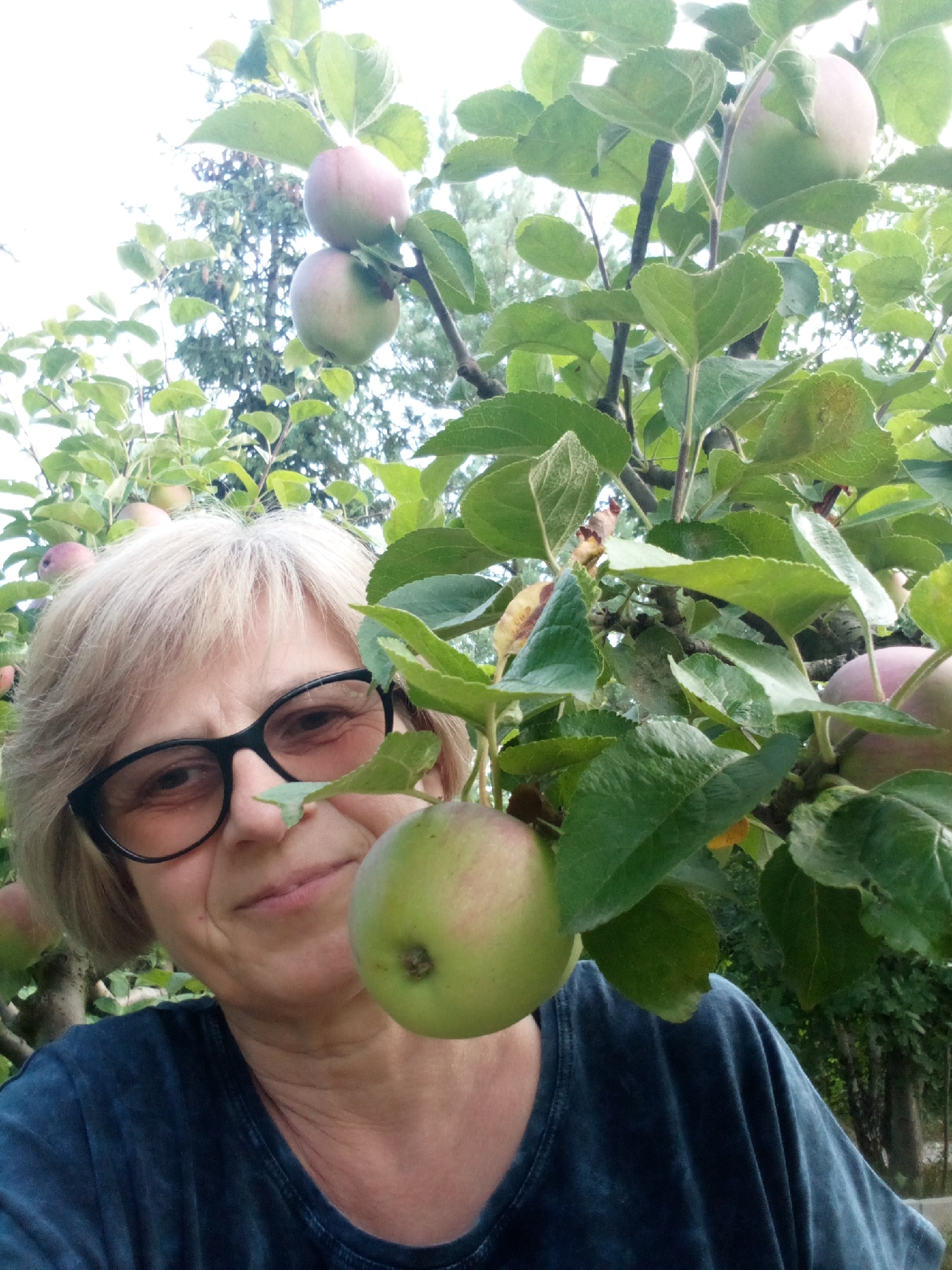 An outdoor, close-up, selfie-style photograph features a fair-skinned woman with blonde hair, wearing black-rimmed glasses and a dark blue t-shirt. She is positioned among the branches of an apple tree, with green leaves and several apples visible. The woman is smiling and looking towards the camera. One apple is prominent in the foreground, to the right of her face. The background consists of more apple tree branches, leaves, and some distant trees. The lighting suggests an overcast or shaded environment. The image was taken in Chemerivtsi, Ukraine.