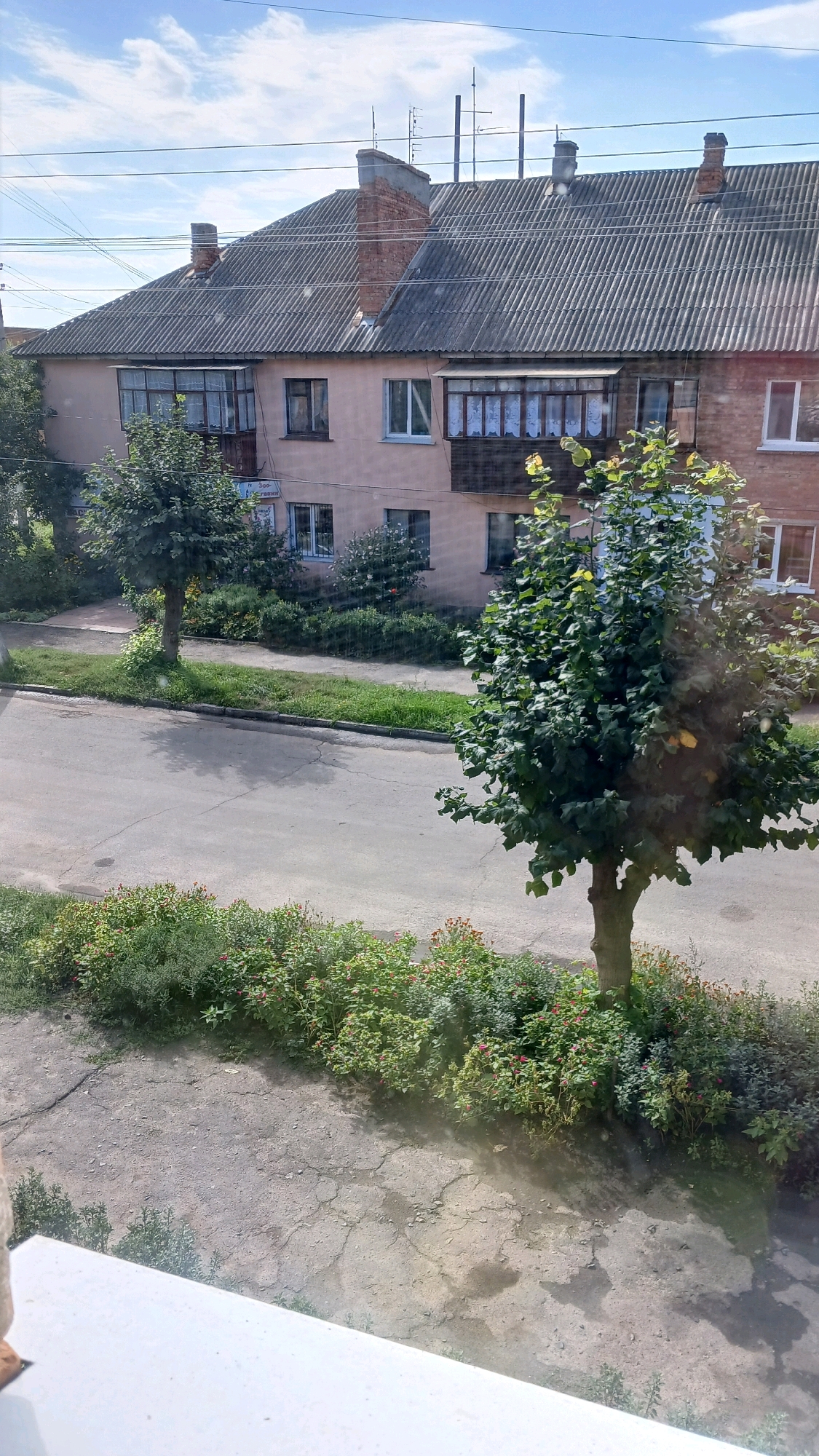 The image depicts a residential building and its surroundings on a sunny day in the city of Haivoron, Ukraine. The building, appearing to be a multi-story apartment block, features a grey, corrugated roof with several brick chimneys. The facade is painted a light pinkish-beige. Windows are visible, some with enclosed balconies. The building is set back from a paved road. In front of the building, there is a strip of green grass and then a dense garden bed with various green plants and small pink flowers. Two trees are present in the foreground, one on the left side of the road and another larger one on the right, positioned within the garden bed. The road itself is asphalt with some cracks and appears wet in places, reflecting the sky. Power lines and poles are visible in the background above the building. The overall scene is one of a typical urban residential street.