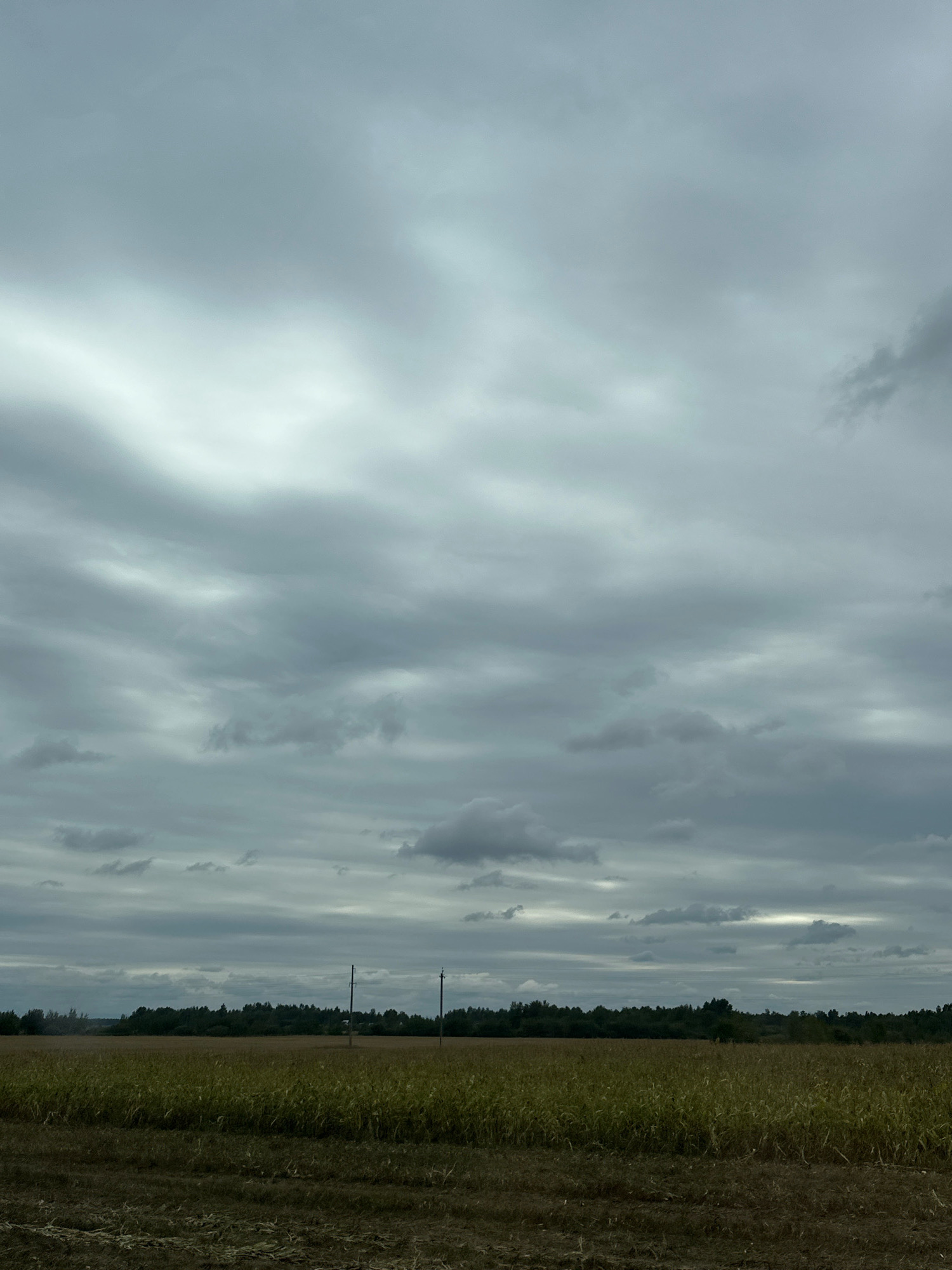 The image depicts a vast, cloudy sky over a rural landscape in Чыркавіцкі сельскі Савет, Belarus. The sky is dominated by heavy, grey, and white clouds, with some lighter patches suggesting diffused sunlight. Below the sky is a wide expanse of a field, appearing to be harvested corn or a similar crop, with dry stalks and stubble visible in the foreground. The field transitions into a dense treeline in the middle ground, forming a dark, horizontal band across the image. Two thin, dark poles, likely utility poles, stand vertically in the field, with the one on the right slightly further back. The overall impression is of a subdued, overcast day in an agricultural area.