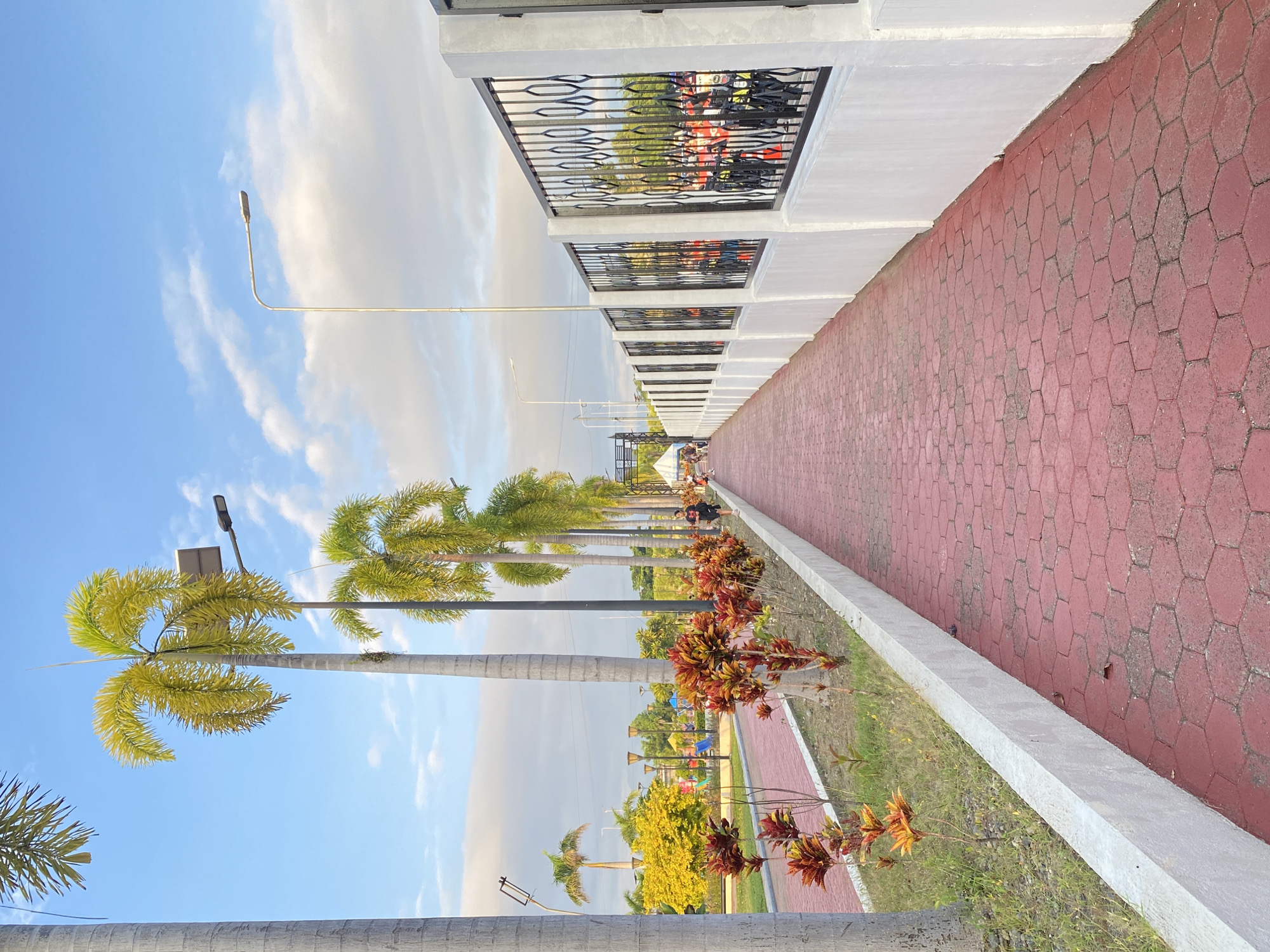 This image captures a paved walkway with red hexagonal pavers, bordered by a white concrete curb. To the left, a row of tall palm trees with grey trunks lines the path, interspersed with ornamental plants featuring red and orange foliage. Beyond the plants, a park area is visible with playground equipment and a bright yellow tree. Streetlights with solar panels are positioned along the walkway. To the right, a white wall with a black ornate metal fence separates the walkway from what appears to be an area with vehicles and tents, possibly an event or market. Several people are visible walking along the path and in the distance. The sky is blue with scattered white clouds. This scene is typical of public spaces found in Davao City, Philippines, such as parks and recreational areas.
