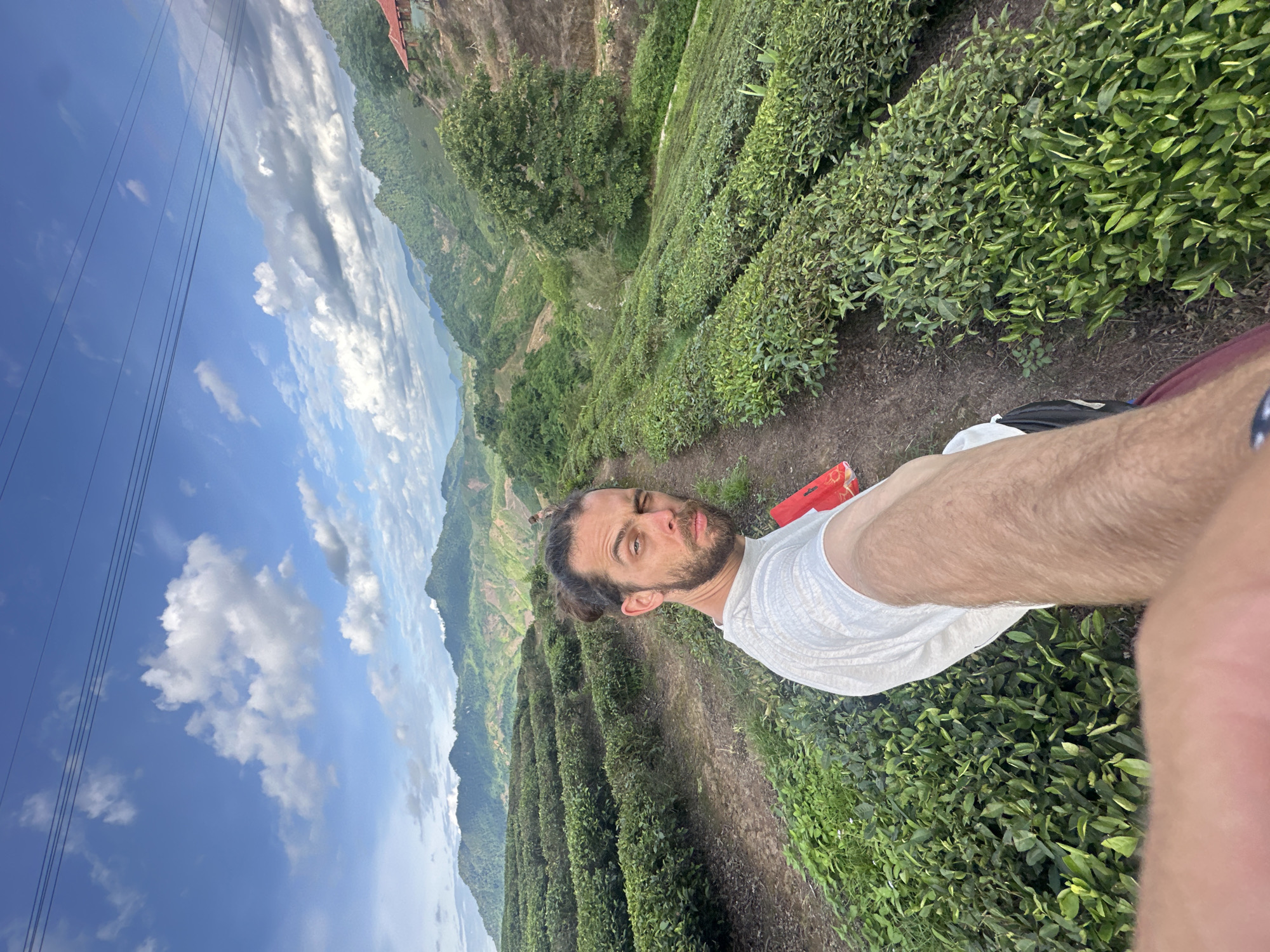 A person with dark hair pulled back in a bun and a beard is taking a selfie in a lush green tea plantation. The person is wearing a white t-shirt and a dark backpack, with a red object held in their right hand. The plantation is on a hillside, with rows of tea bushes extending into the distance. In the background, rolling hills covered in vegetation and mountains are visible under a bright blue sky with scattered clouds. A small building with a red roof is perched on a distant hillside. The overall scene depicts a serene landscape in To Mua, Vietnam.