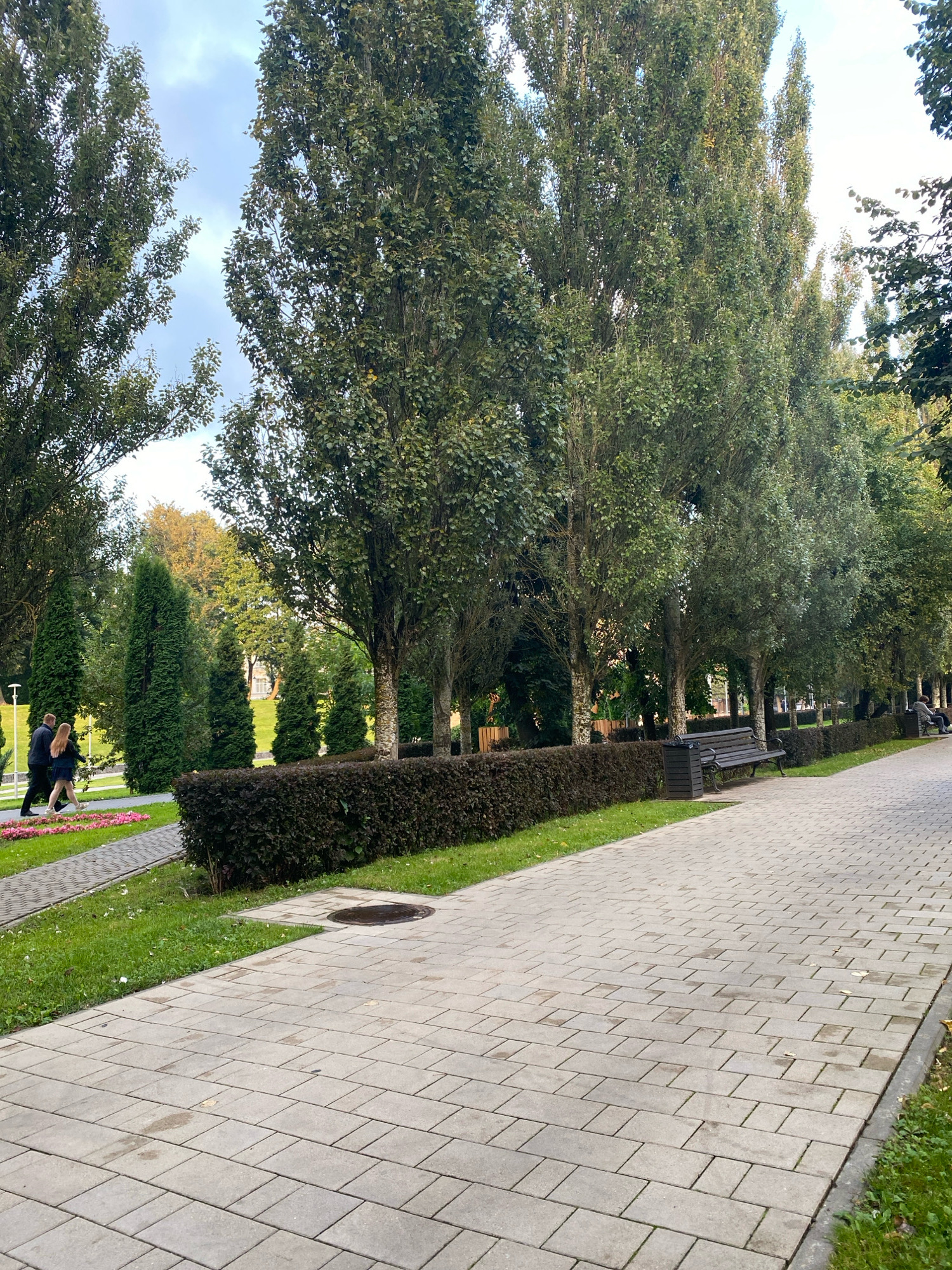 The image depicts a park pathway in an urban setting. The pathway is paved with light gray rectangular stones and curves to the right, leading into the distance. To the left of the pathway is a strip of green grass, bordered by a neatly trimmed, dark green hedge. Beyond the hedge, several tall, slender trees with dense green foliage are visible, lining the park. In the background, further trees of varying heights and densities can be seen, along with a glimpse of a building with a white facade.
On the pathway in the foreground, a couple is walking away from the camera, towards the left. The man is wearing a dark jacket and pants, and the woman is wearing a dark blue dress. They are walking side-by-side. Further down the pathway, a dark gray trash bin and a dark brown wooden park bench are positioned near the hedge. In the distance, on the right side of the path, other individuals can be seen sitting on benches. The sky above is overcast with some patches of light blue. The overall impression is a tranquil park scene, likely in a city, with manicured landscaping and public amenities.