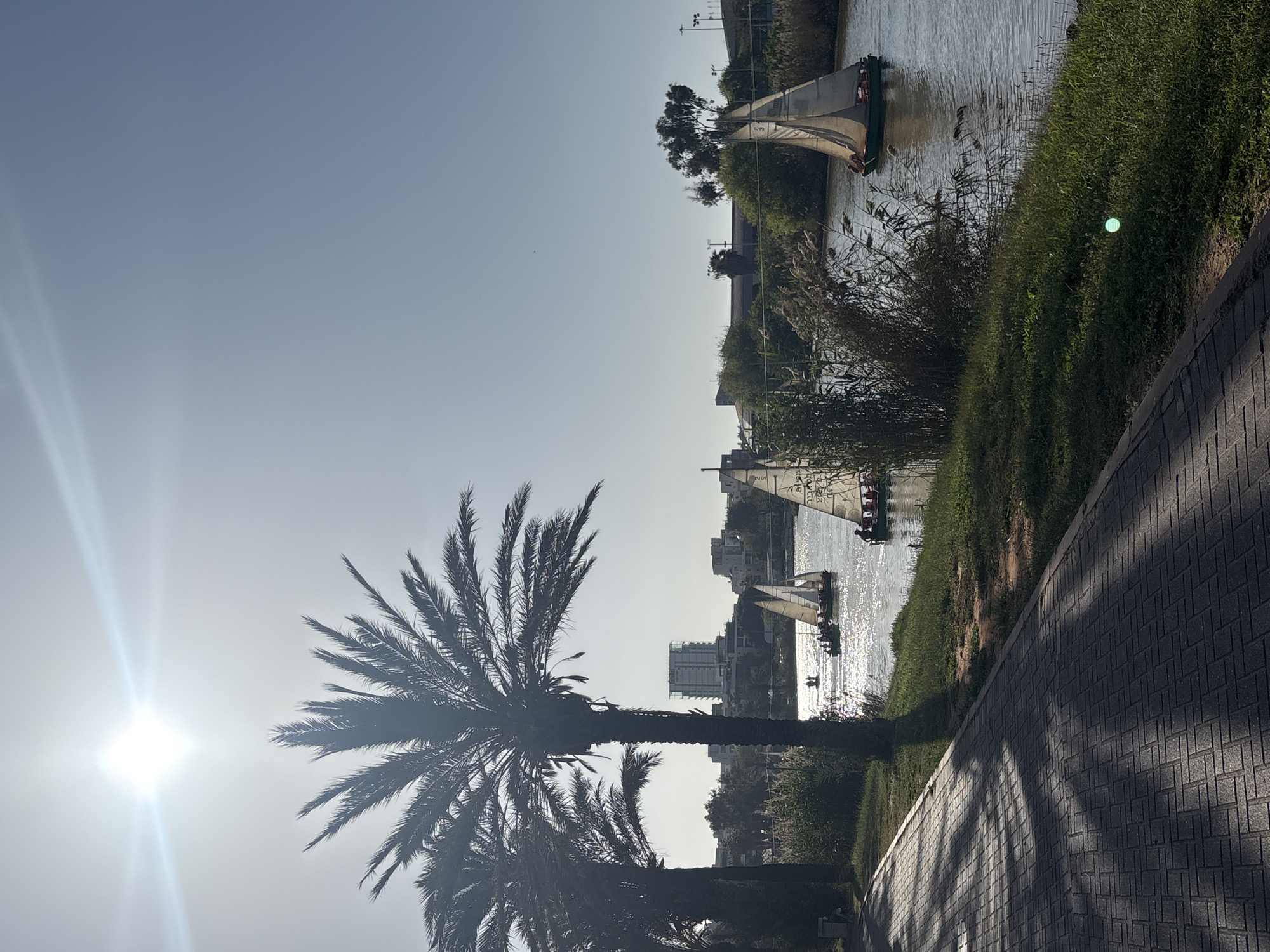 The image shows a waterway in Tel Aviv, Israel, with boats sailing on the water. Buildings are visible in the background. A palm tree is in the foreground, with a paved walkway alongside it. The sun is shining brightly, creating a glare in the sky. The waterway is bordered by greenery on both sides.