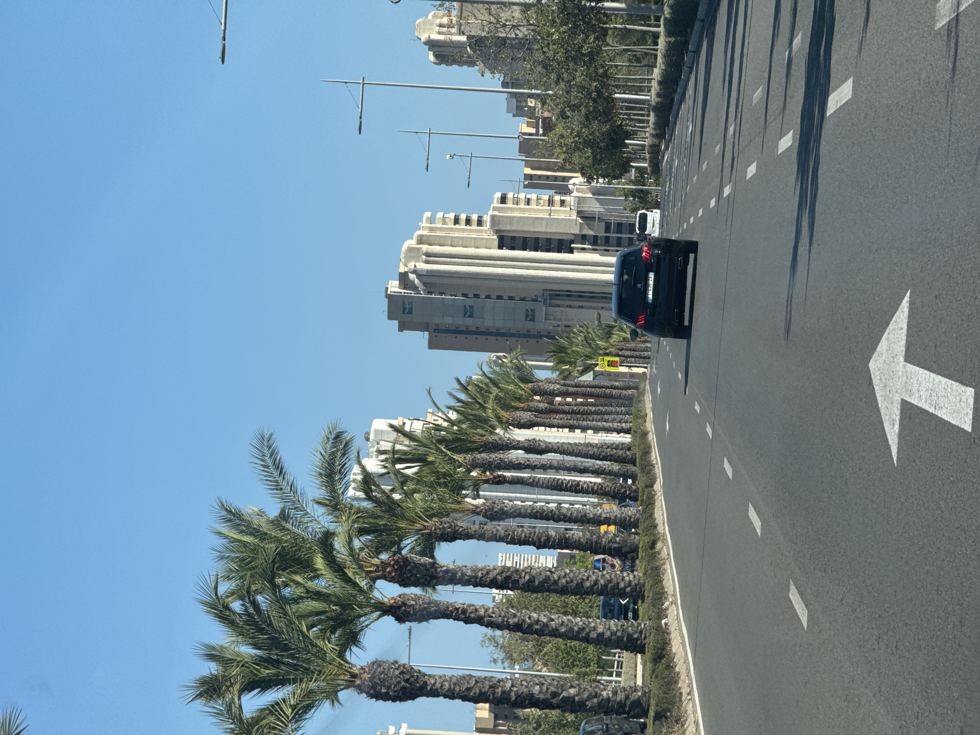 The image shows a clear, sunny day in Benidorm, Spain, with a view down a wide, multi-lane road lined with palm trees. In the foreground, a black car is driving away from the camera, with a white arrow painted on the road indicating a forward direction. The road is asphalt with white lane markings. On the left side of the road, a row of mature palm trees stands tall, with their trunks covered in fibrous bark. Beyond the palm trees, several tall, modern buildings, characteristic of Benidorm's skyline, are visible. These buildings are light-colored and appear to be hotels or residential complexes. On the right side of the road, more trees and streetlights are visible. The sky is a bright, cloudless blue. The scene suggests a typical urban environment in a coastal Spanish city.