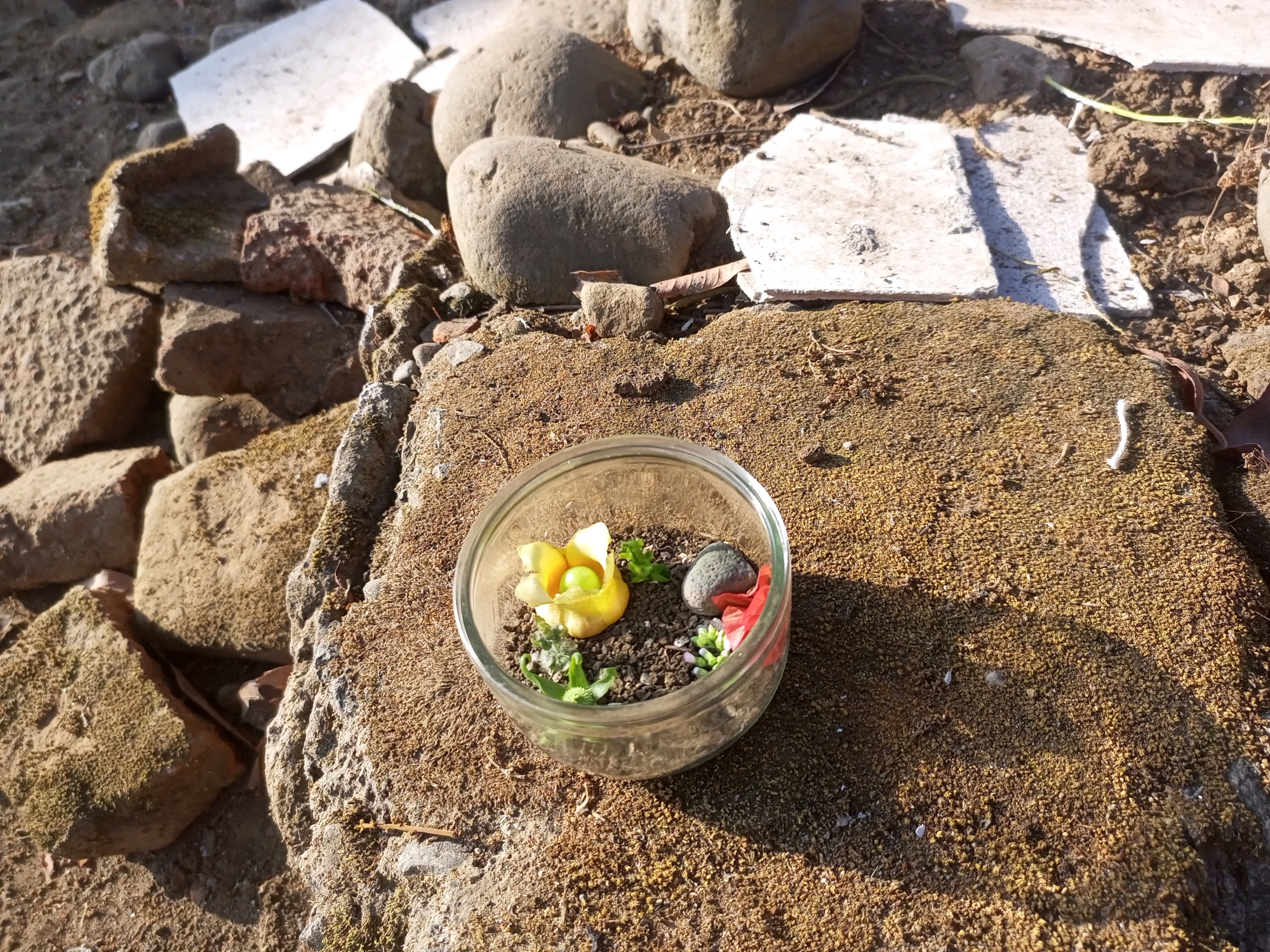 In Penaruban, Indonesia, a small, clear glass jar sits on a mossy surface amidst rocks and debris. The jar contains a miniature garden with a yellow artificial flower, small green plants, a grey pebble, and a small red object, possibly another artificial flower or embellishment. The surrounding environment is rough and natural, with large stones, cracked white pieces of material, and dry, brown soil covered in moss. The lighting suggests an outdoor setting, likely during the day, with shadows cast across the scene.