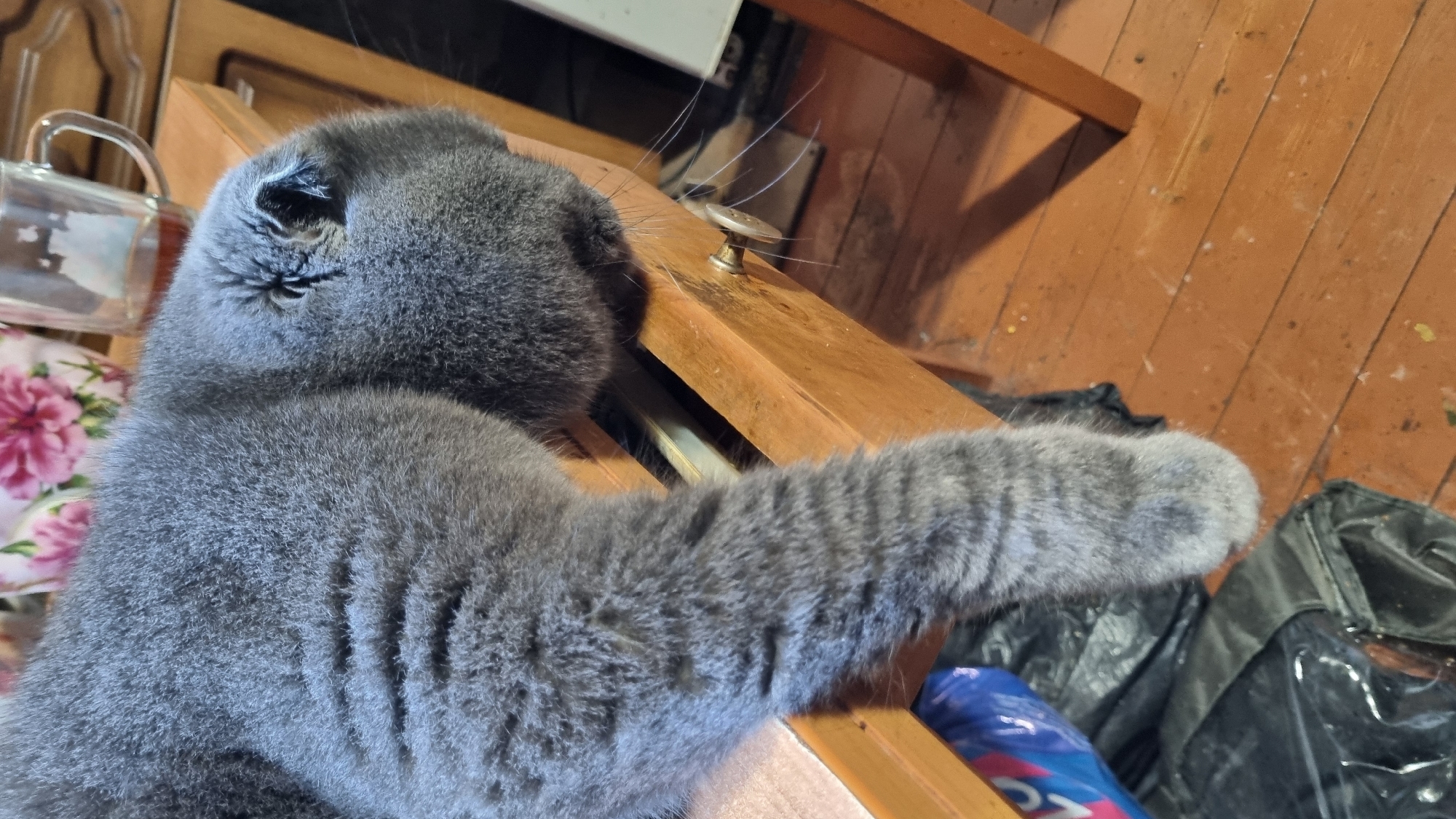 A grey cat is lying on a wooden table. It is a Scottish Fold breed, recognizable by its folded ears. The cat is resting its head and front paw on the table. Its fur is short and dense. In the background, a glass mug with tea and a vase with flowers can be seen. The floor is made of wooden planks. The image appears to be taken indoors, possibly in a domestic setting in the city of Vysokoe, Russia. There is no indication of any human presence in the image.