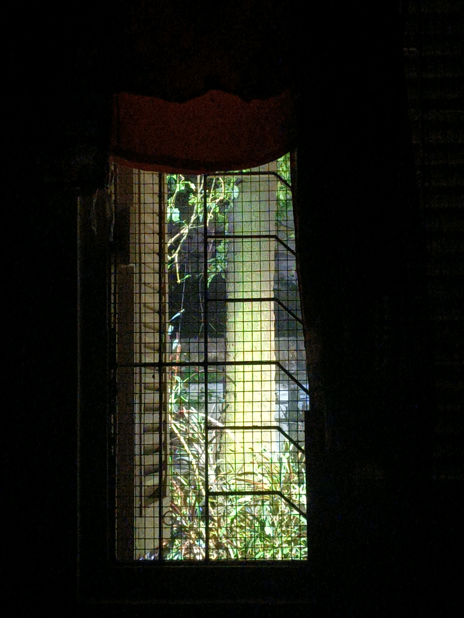 The image depicts a dimly lit window with a metal grate, looking out onto lush green foliage illuminated by a yellowish light. The light source appears to be artificial and is casting distinct shadows and highlights on the plants and the surrounding structures visible through the window. A reddish fabric is draped over the top of the window, partially obscuring the view and adding to the overall somber mood. The overall impression is that of an enclosed space, possibly a room or a hallway, with a view of an outdoor garden or courtyard. The image captures a scene that is common in older buildings in Kolkata, India, where security grates on windows are prevalent and artificial lighting is often used to illuminate outdoor spaces. The texture of the brickwork behind the foliage suggests a traditional architectural style found in the city.