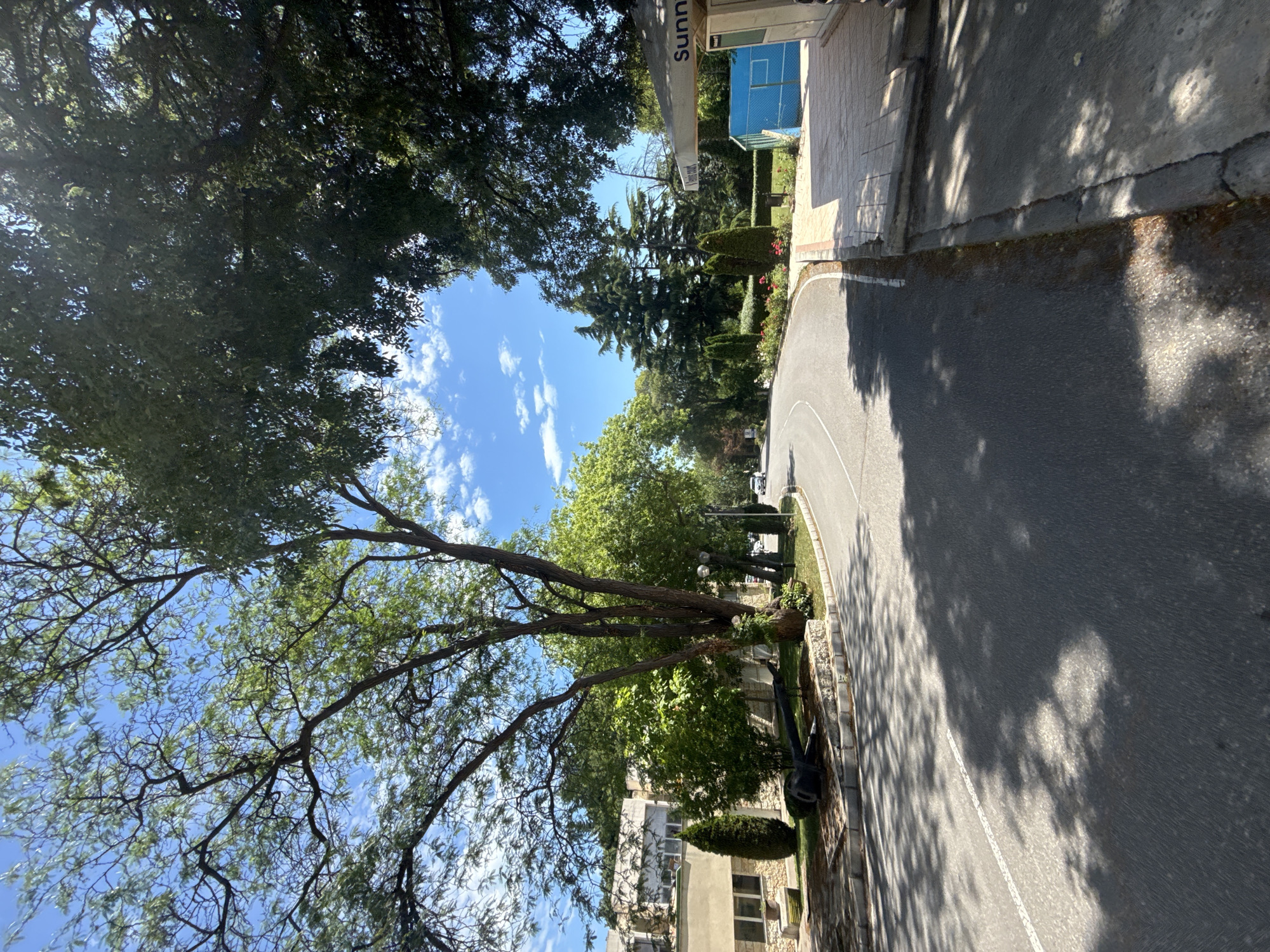 The image shows a tree-lined street in Varna, Bulgaria. The street curves to the left and is paved with asphalt. There are trees on both sides of the street, with their branches casting shadows on the road. On the left side of the street, there is a building with a light-colored facade and windows. In front of the building, there is a lawn with some bushes and a large, dark object that appears to be an anchor. On the right side of the street, there is a sidewalk with a small building with a blue wall and a sign that says "Sunny Court." There are also some roses and evergreen bushes planted along the sidewalk. The sky is blue with some white clouds, and the sun is shining. There are a few cars visible in the distance, driving on the street.