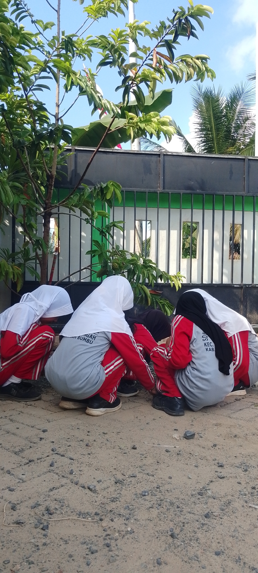 Four individuals, appearing to be young students wearing school uniforms, are squatting on a dirt and gravel ground. They are all wearing red and white tracksuits with grey tops. Two of the students are wearing white hijabs, and one is wearing a black hijab. The students are looking down, with their heads bowed, suggesting they are engaged in an activity on the ground. In the background, there is a black metal fence with vertical bars, behind which is a white wall with green accents. A tree with green leaves is positioned to the left of the students, and palm fronds are visible in the upper right corner against a clear blue sky. The environment suggests an outdoor school setting or a communal area. The text on the grey tops of the students is partially visible. The text on one student's shirt reads "MUGAH BUMBU," and on another, "SDAN KEC KAB." The location is Saring Sungai Binjai, Indonesia.