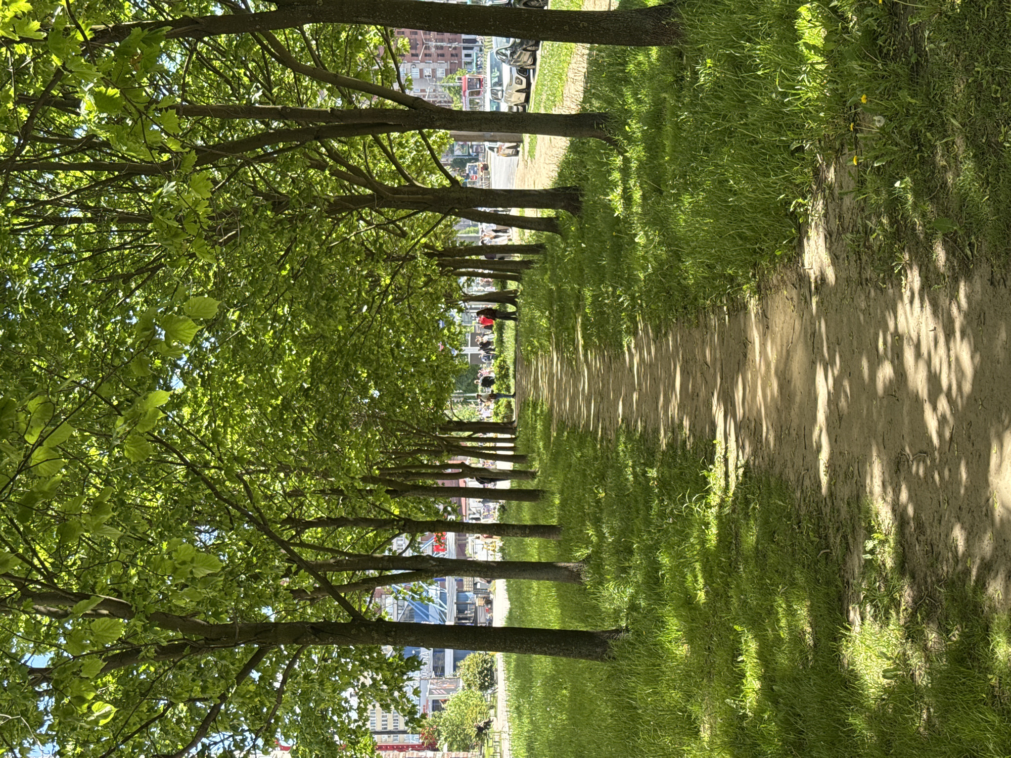 This image captures a vibrant, tree-lined avenue or park path in Saint Petersburg, Russia, under bright daylight. A long row of mature deciduous trees with lush green foliage forms a natural canopy on the left side of the frame, their dark, slender trunks stretching vertically. On the right, a light brown, earthy path is visible, bordered by vivid green grass on both its sides.
The strong sunlight casts distinct, elongated shadows of the tree trunks and branches across the path and the grassy areas, indicating a sunny day, likely morning or late afternoon. Patches of blue sky peek through the dense leaf cover.
Several distant figures are seen walking along the path, suggesting a leisurely stroll or passage through an urban green space. In the background, beyond the tree line, glimpses of a city environment are visible, featuring various buildings, some appearing modern and others older, alongside parked and moving cars on what appears to be a street or parking area. The urban backdrop provides context to the public park or avenue setting. No discernible text is visible within the image. The overall atmosphere conveyed is one of pleasant outdoor activity on a clear, bright day.